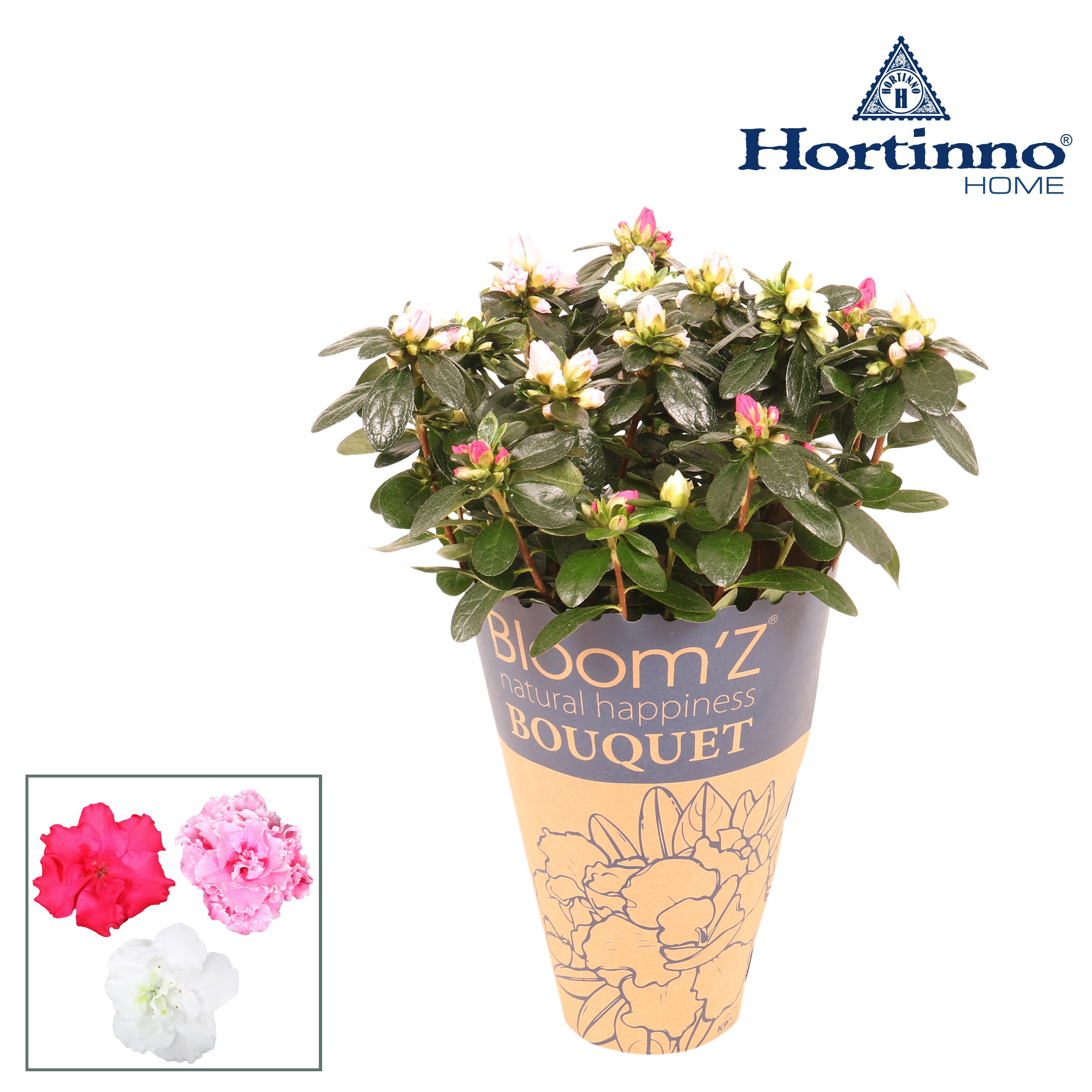 Hortinno® Home Bloom'Z Bouquet koker, D 13