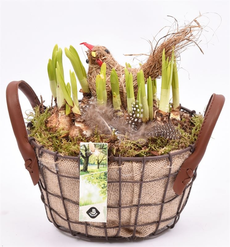 Gaasmand met jute 21x15.5cm, D 21