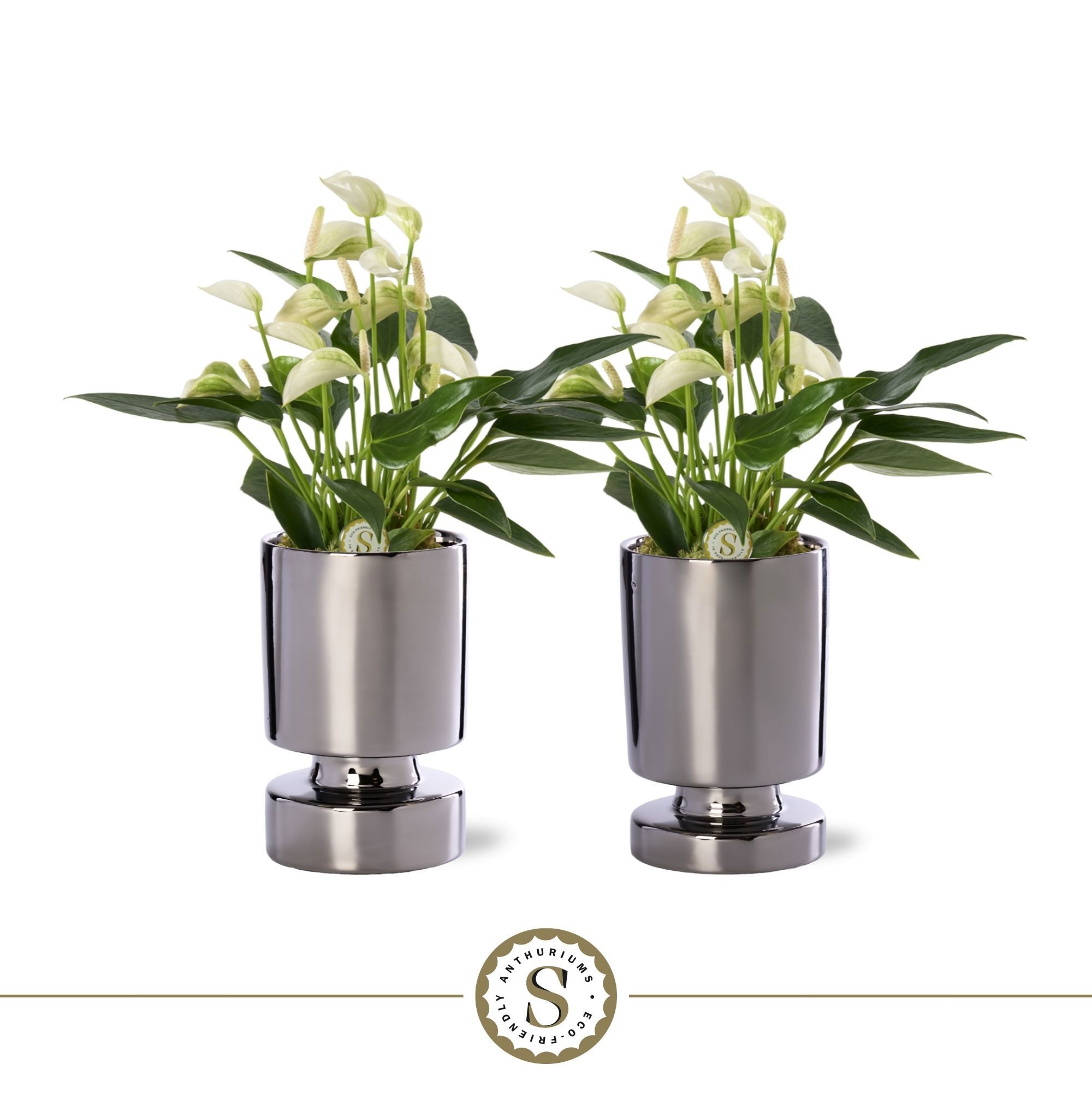 Stockholm Silver Keramiek 9cm White Champion, D 9