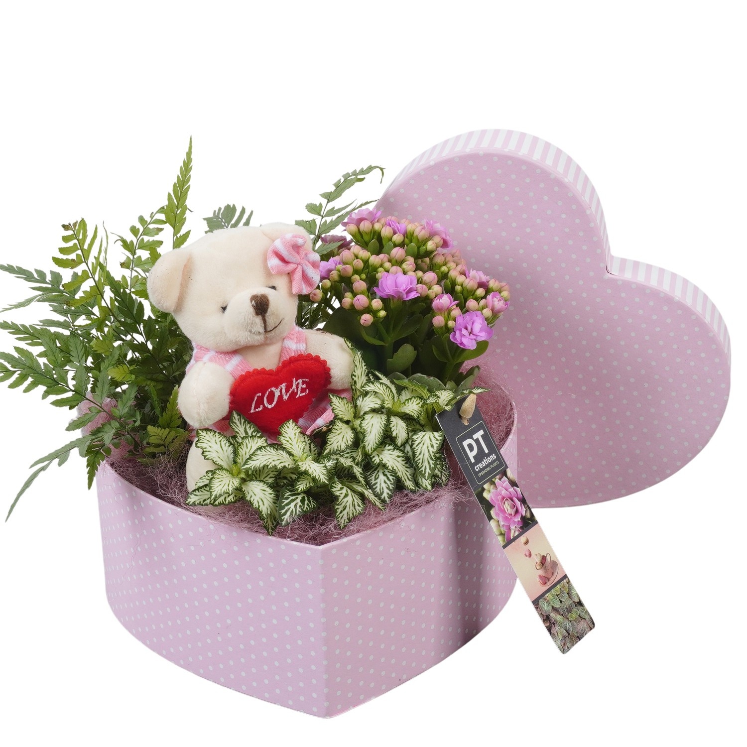 PTVMB2368 Arrangement Valentines-Mothersday in karton hart, D 19