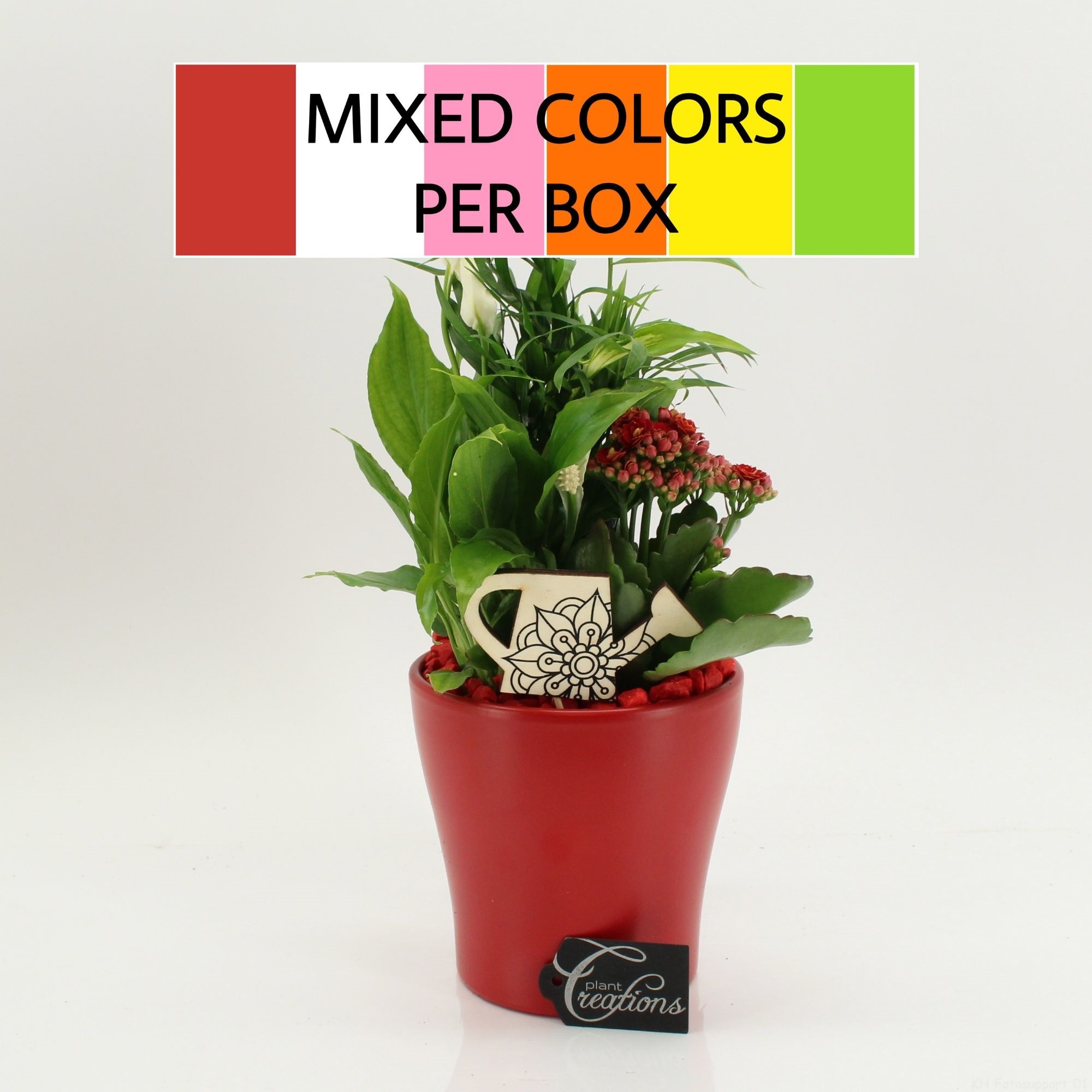 FDCR-2608M Basic Fundamentals, D 14