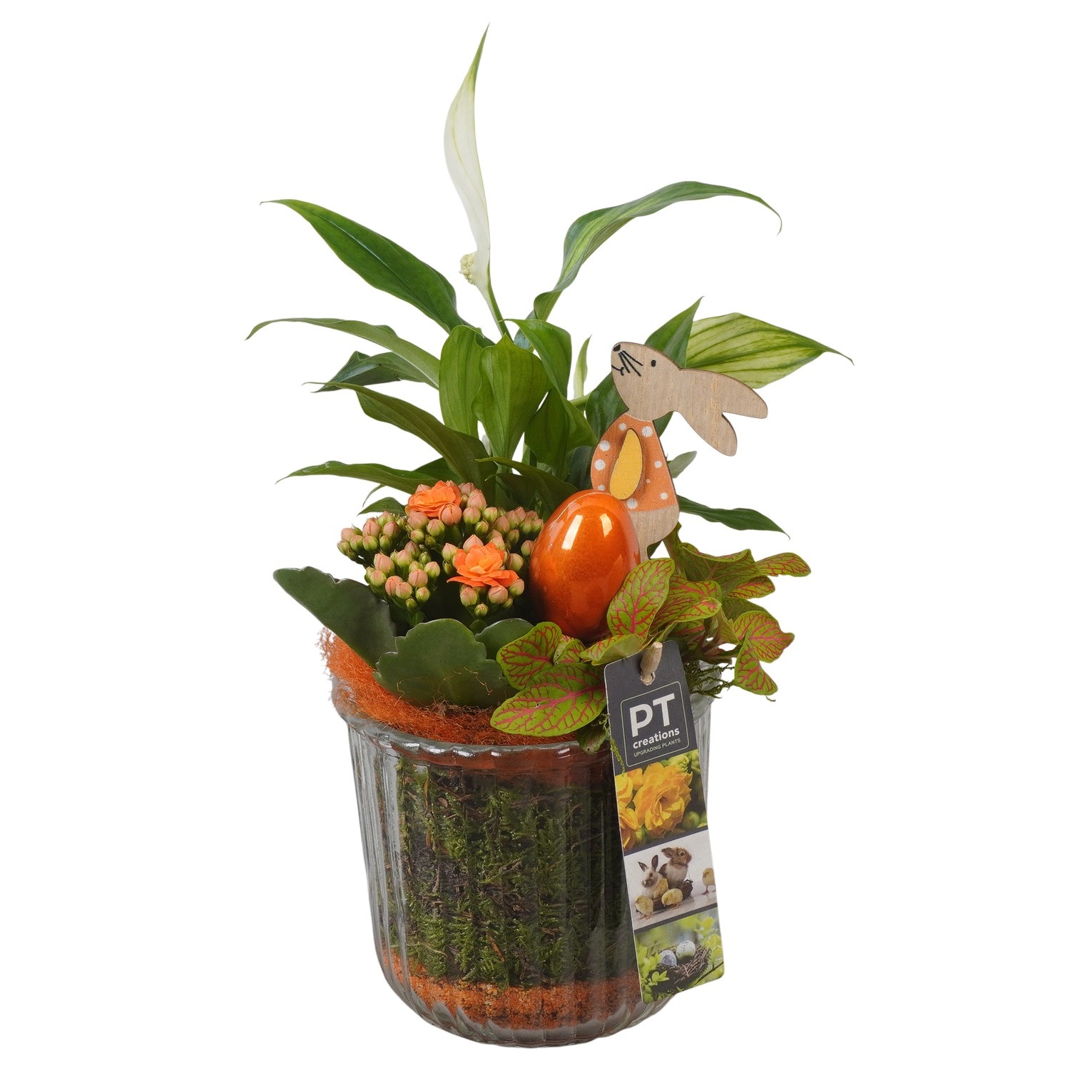 PTPG9390 Arrangement Easter in glas vaas, D 12