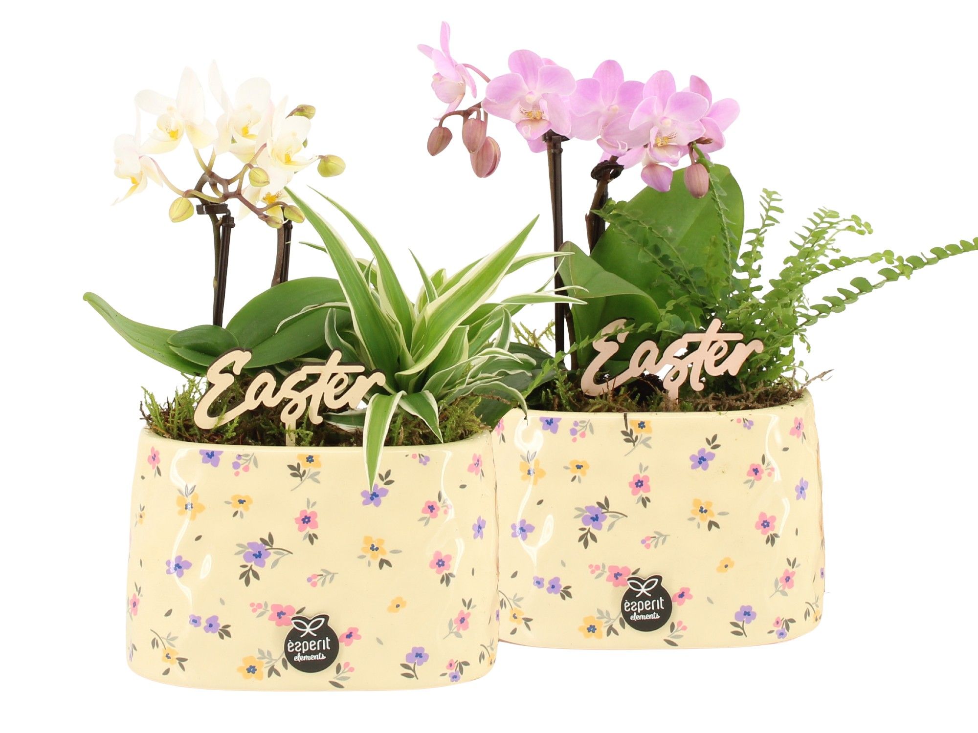 70882: Easter arrangement, D 14