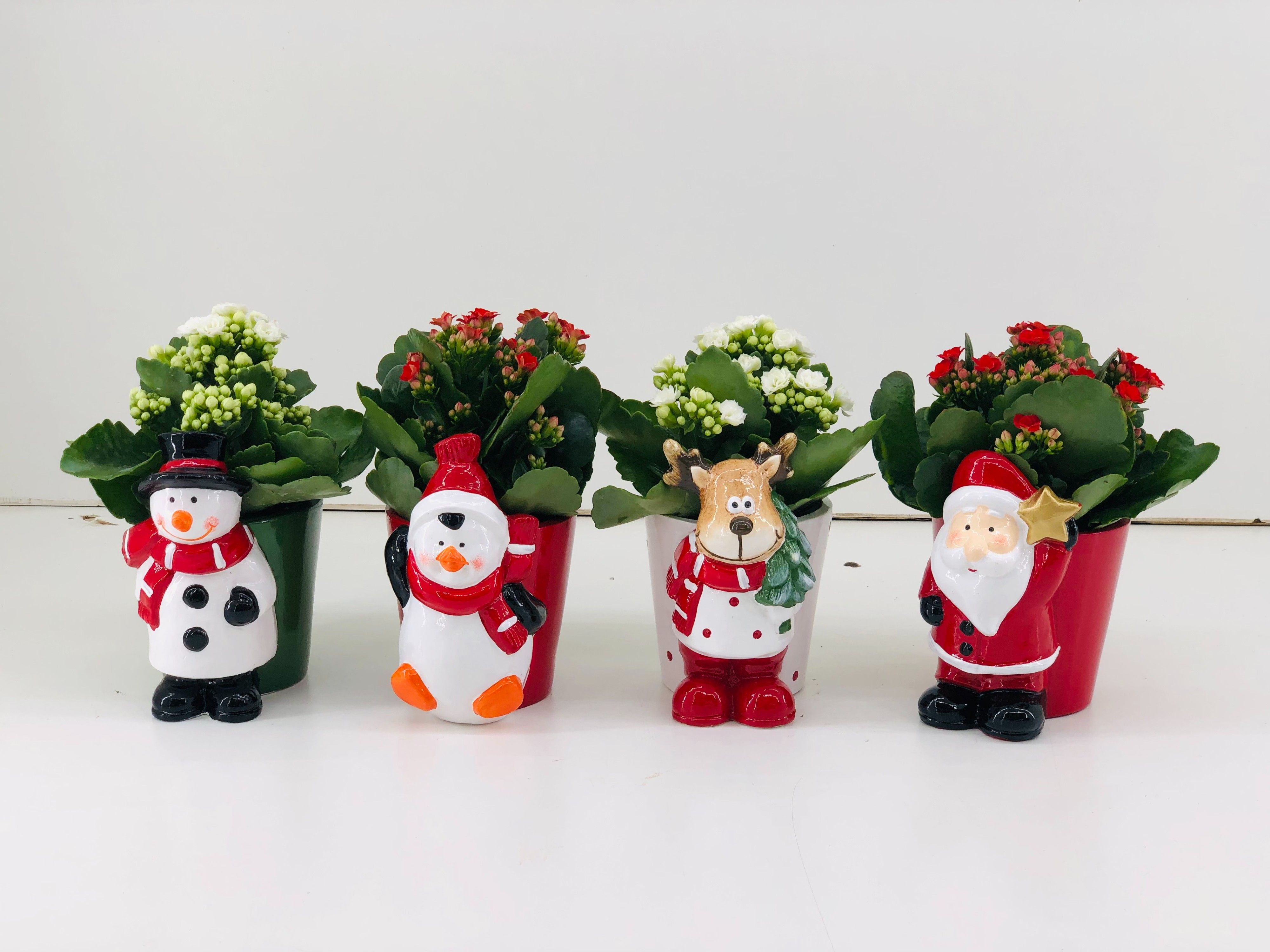 TDM P9 : 25 Kerst 8 Pot met figuur en Kalanchoe, D 9