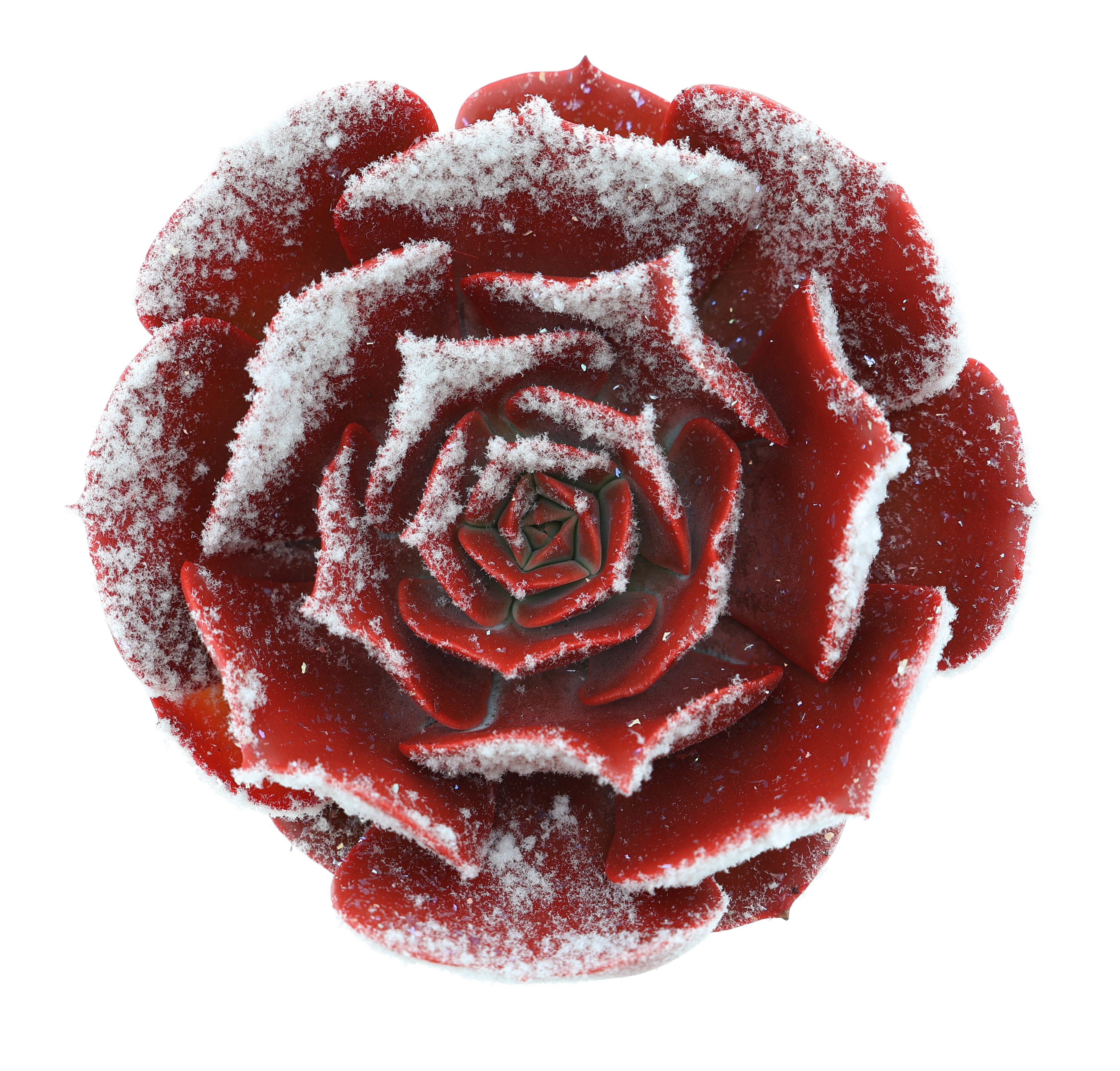 Pollux snowy, D 8,5