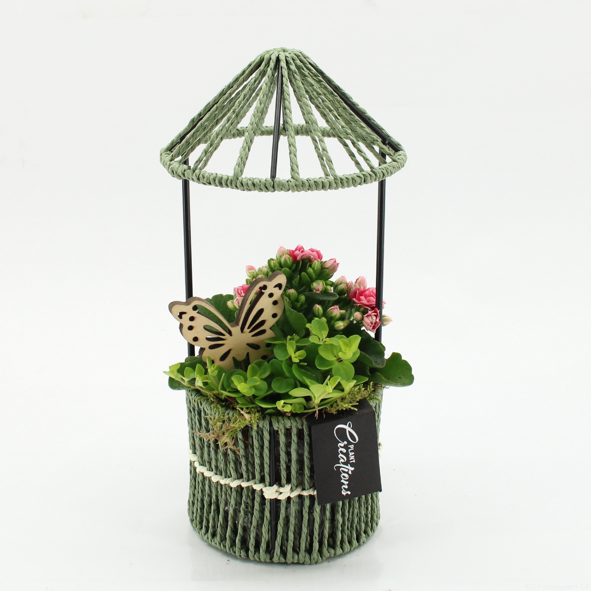 ESCR-2616RZ Essentials, D 12