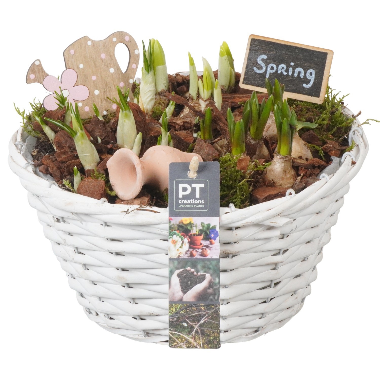 PTBM3852 Arrangement Flower Bulbs Mix in rieten mand, D 24