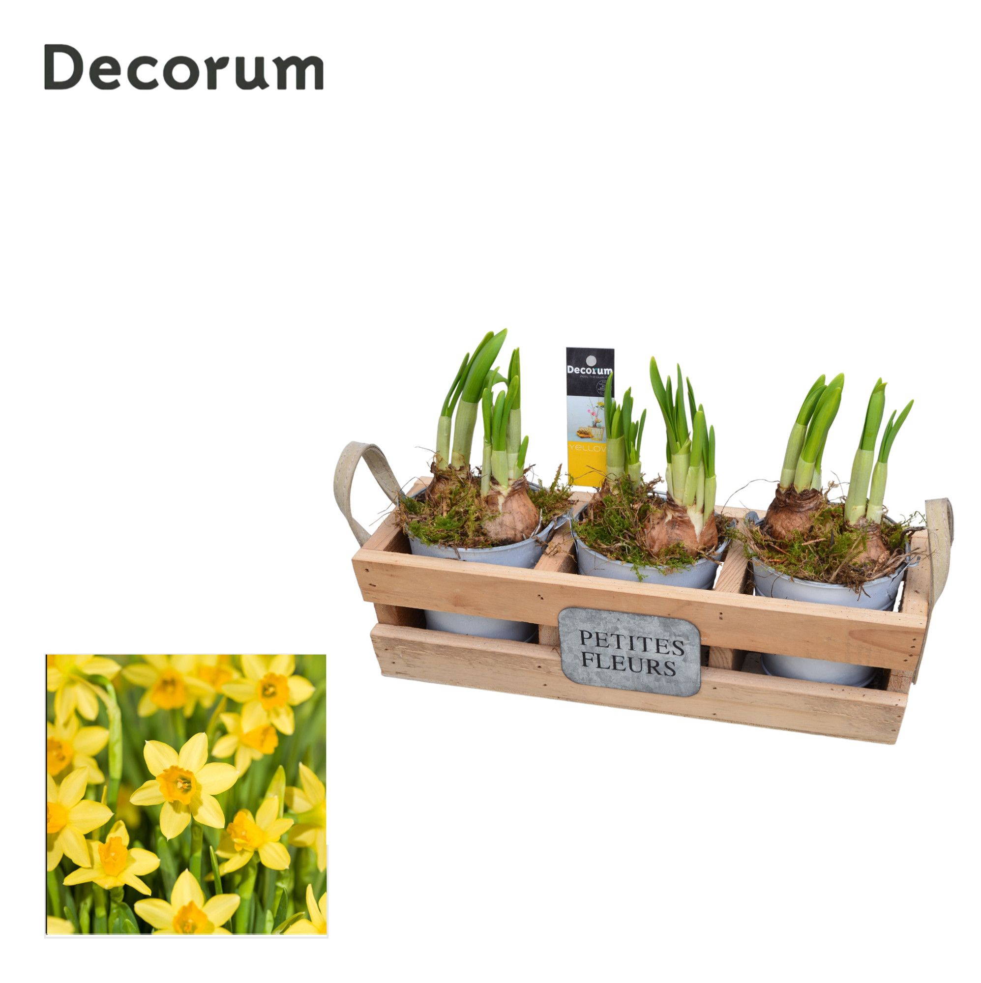 Narcis Houten Rek HL17723N, D 31 cm