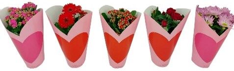 bloeimix 12 cm - Cadeaucover Hart, D 12