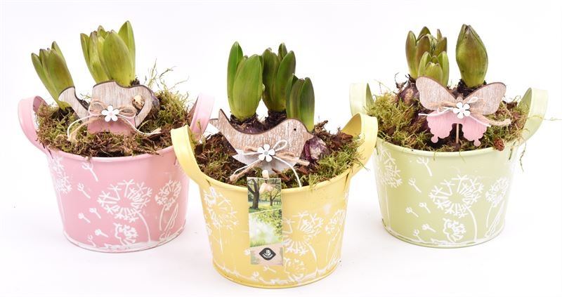 Zink schaal decor geel 15.5cm, D 15