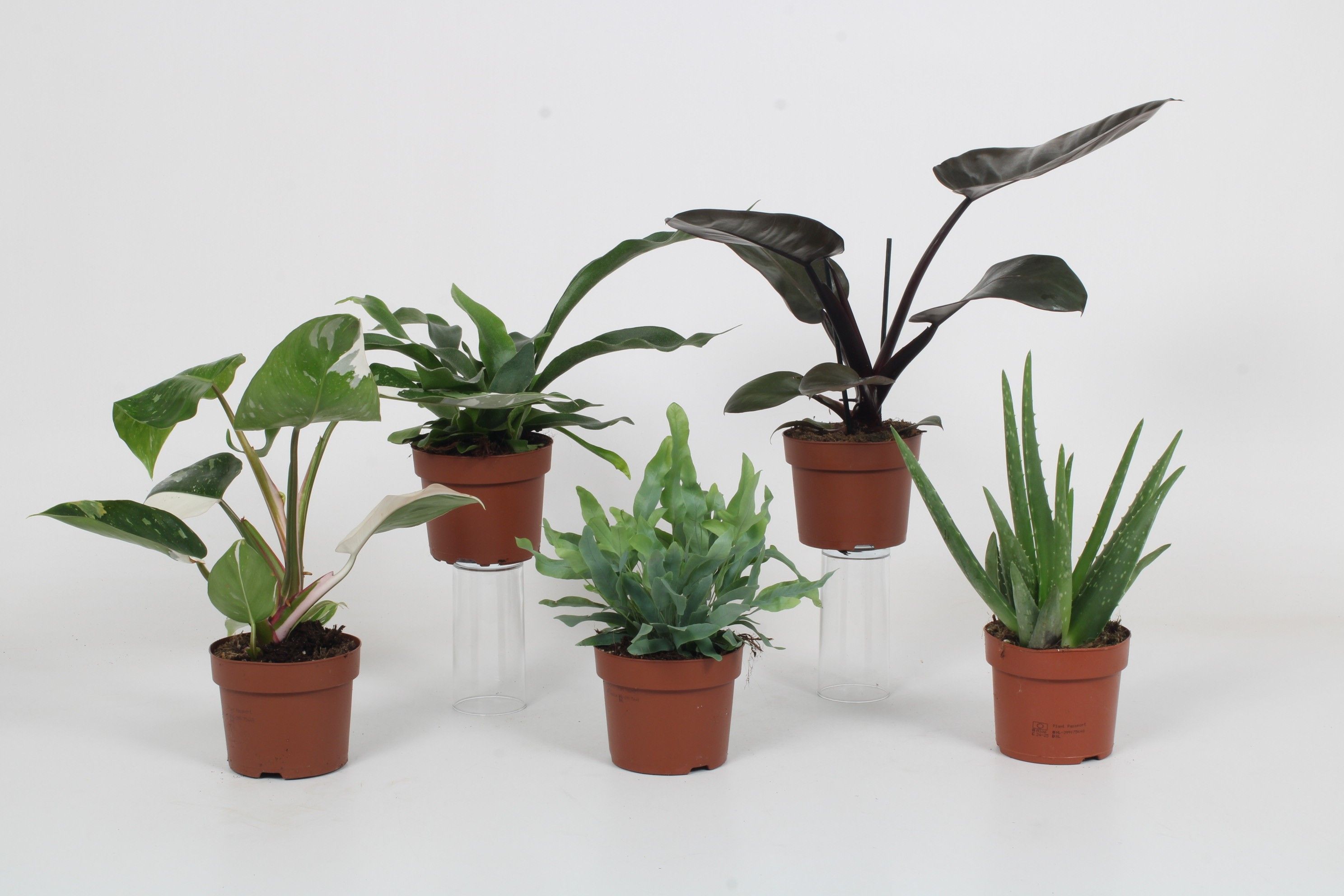 Luxe mix A - mailing week 7-9 2025, D 12