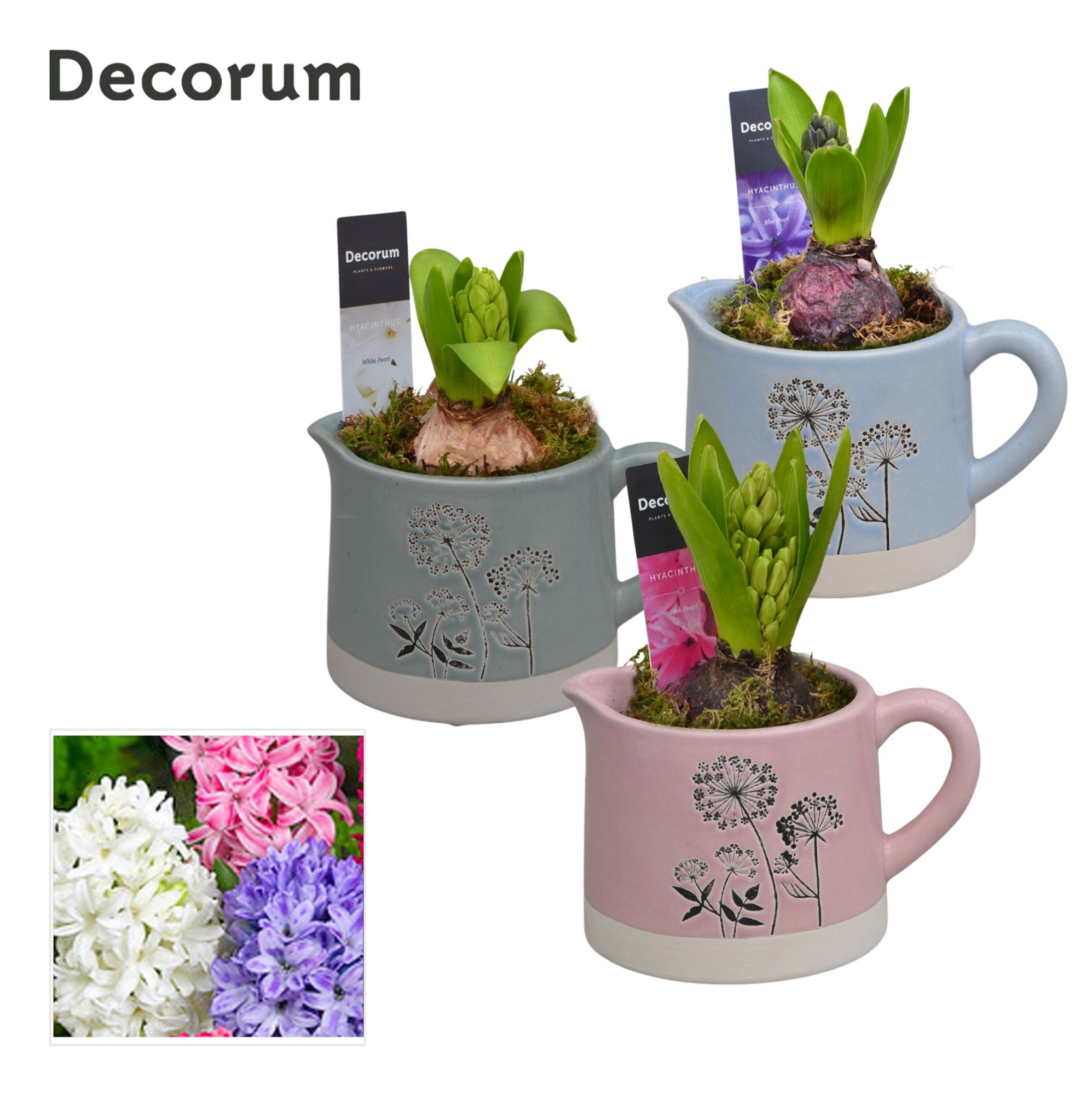 Hyacint Dandelie HL14503 [LOVELY COLORS], D 10