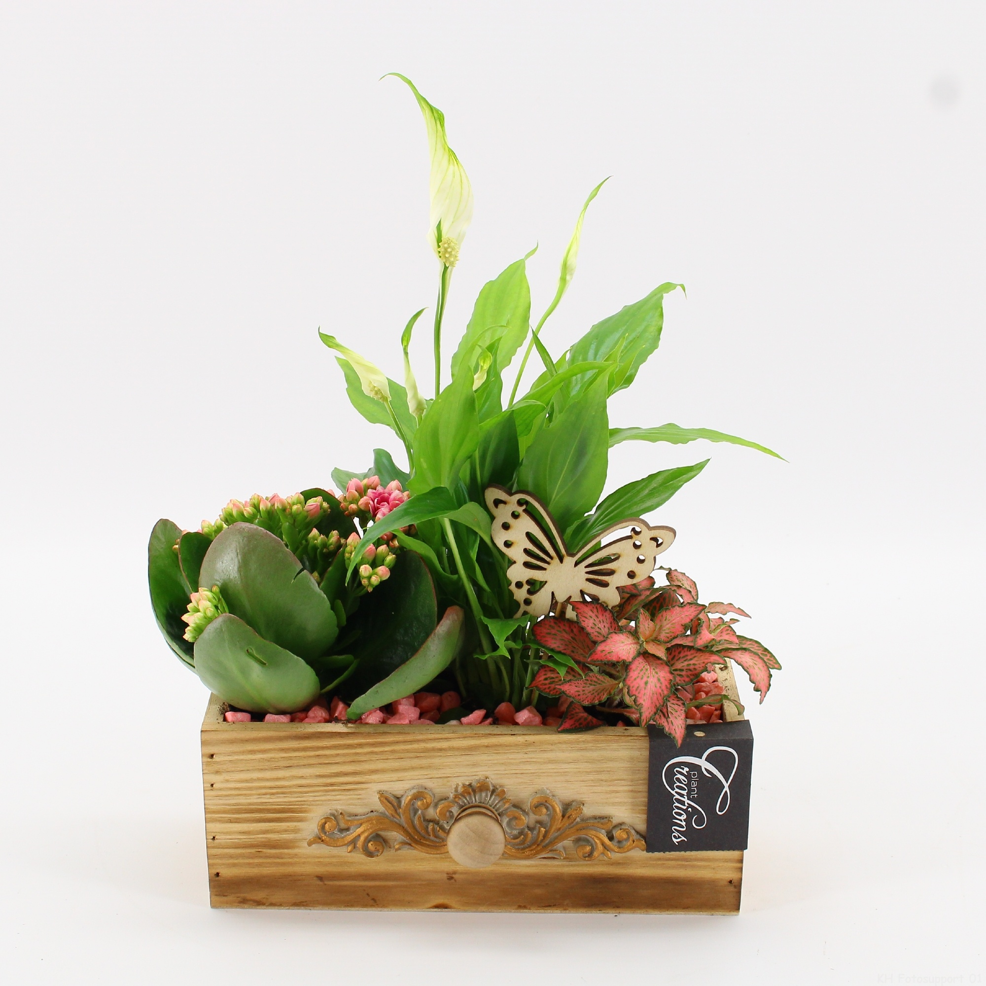 ESCR-2610RZ Essentials, D 21