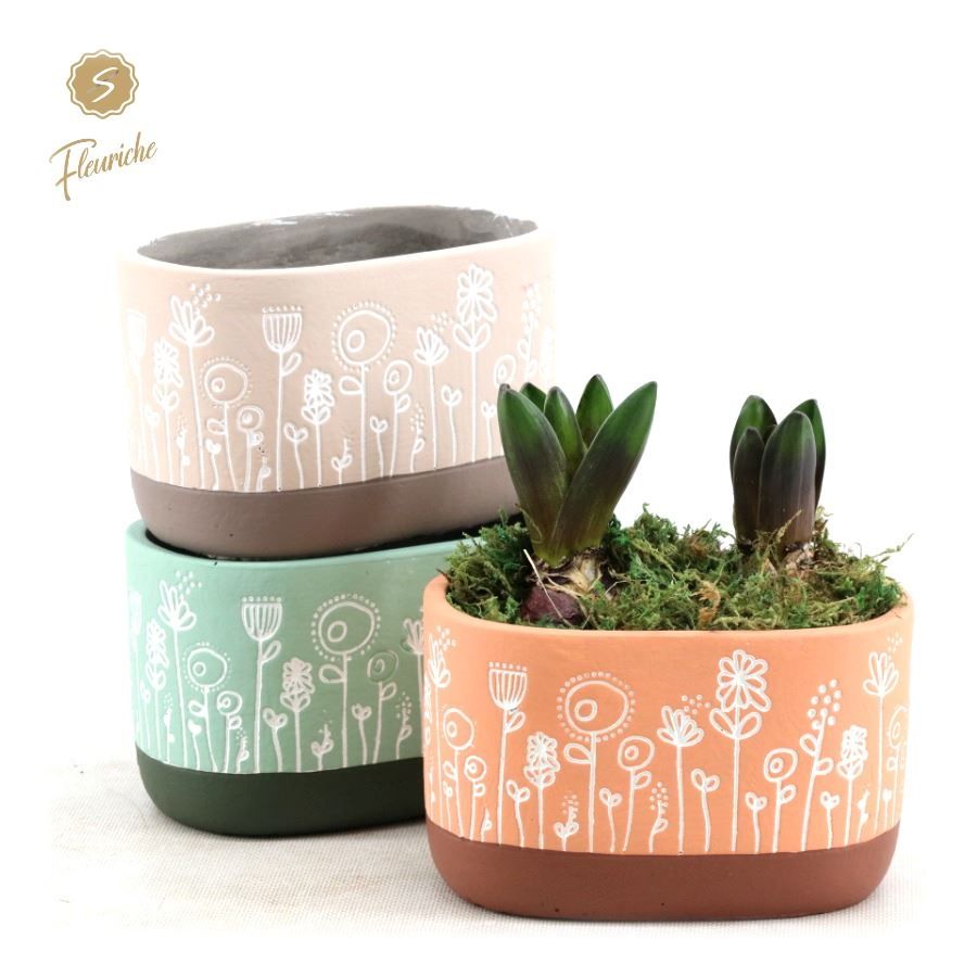 (2403) Hyacint Flower Time (L), D 14