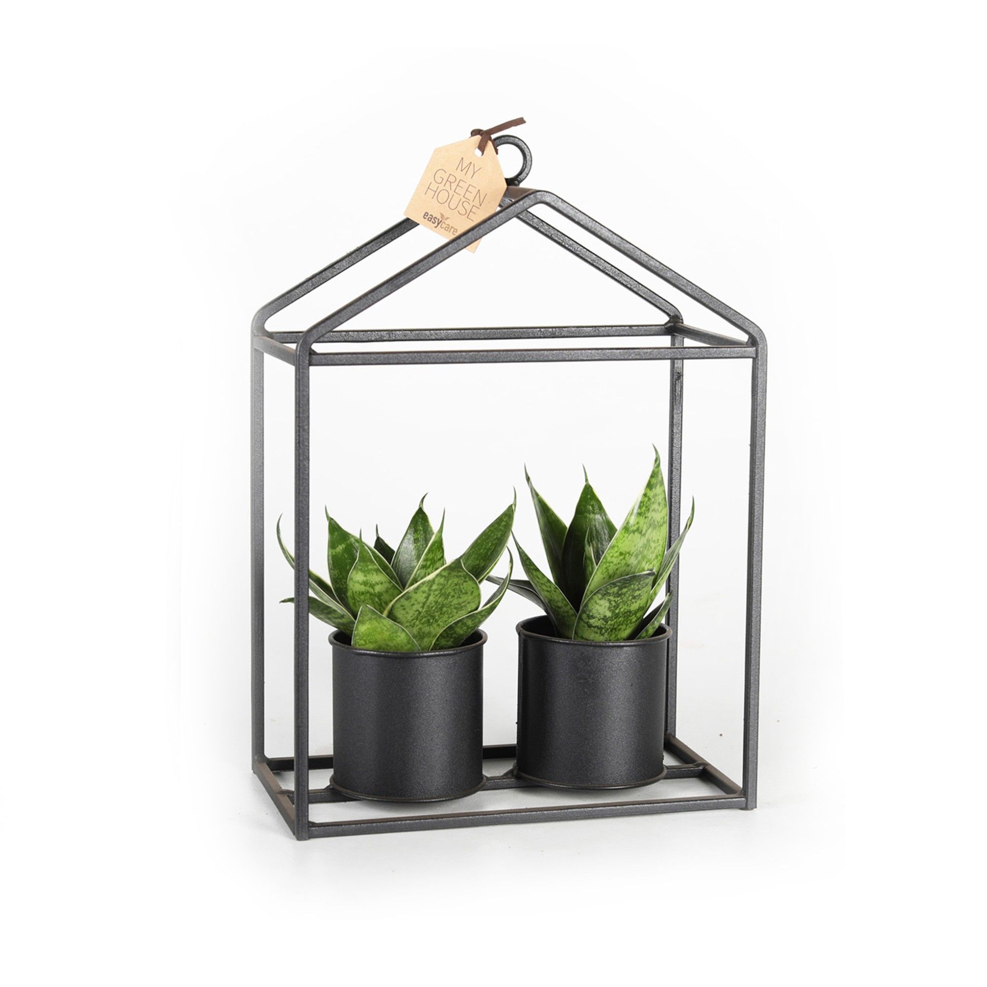 Greenhouse Double Black Creations 6 cm, D 6