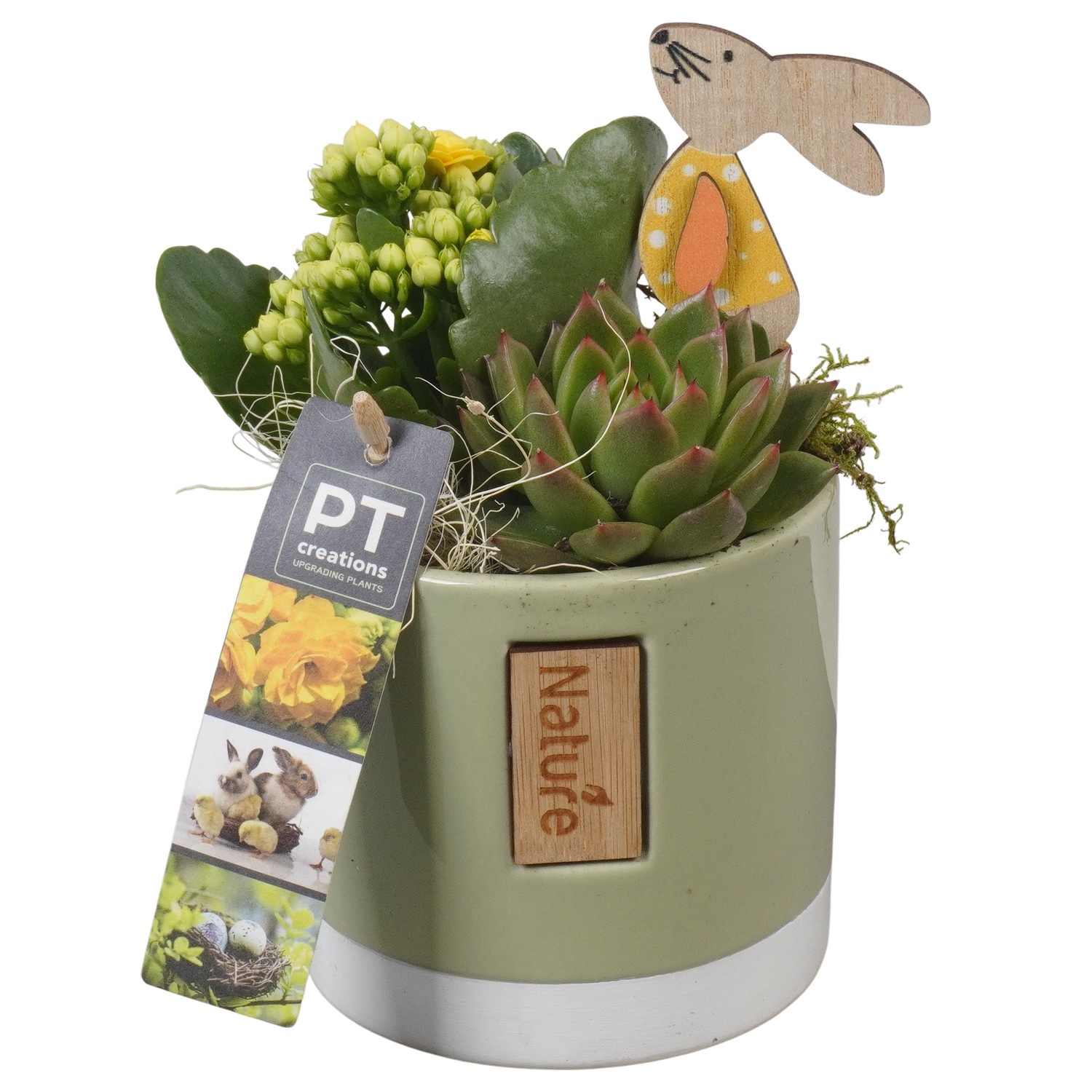 PTPB6473 Arrangement Easter in keramiek pot, D 10