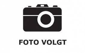 Vriesea Poelmanni Anna Rood Coco, D 13