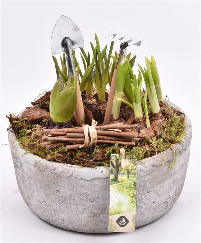 Cement schaal grijs 20.5cm, D 22