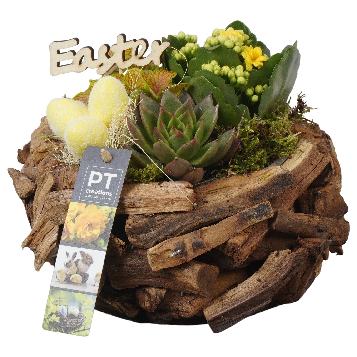 PTPB6582 Arrangement Easter in houten bak, D 21