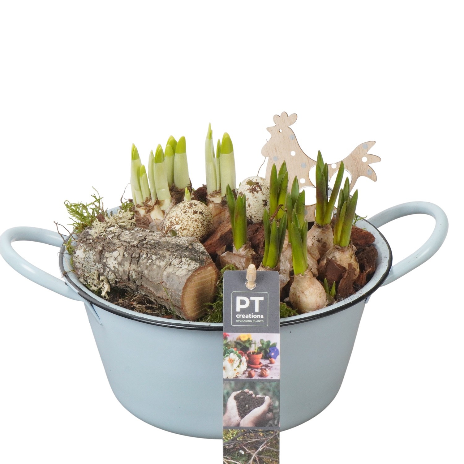PTBMP5624 Arrangement Easter Bulbs Mix in zink schaal, D 19