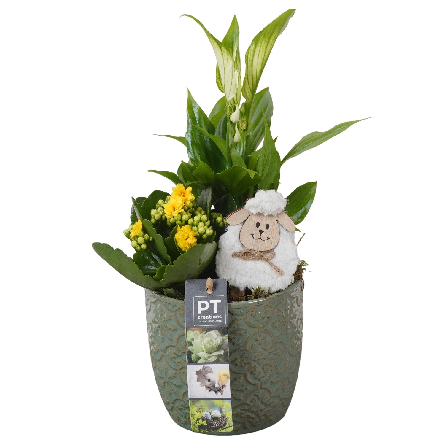 PTPB6509 Arrangement Easter in keramiek pot, D 12