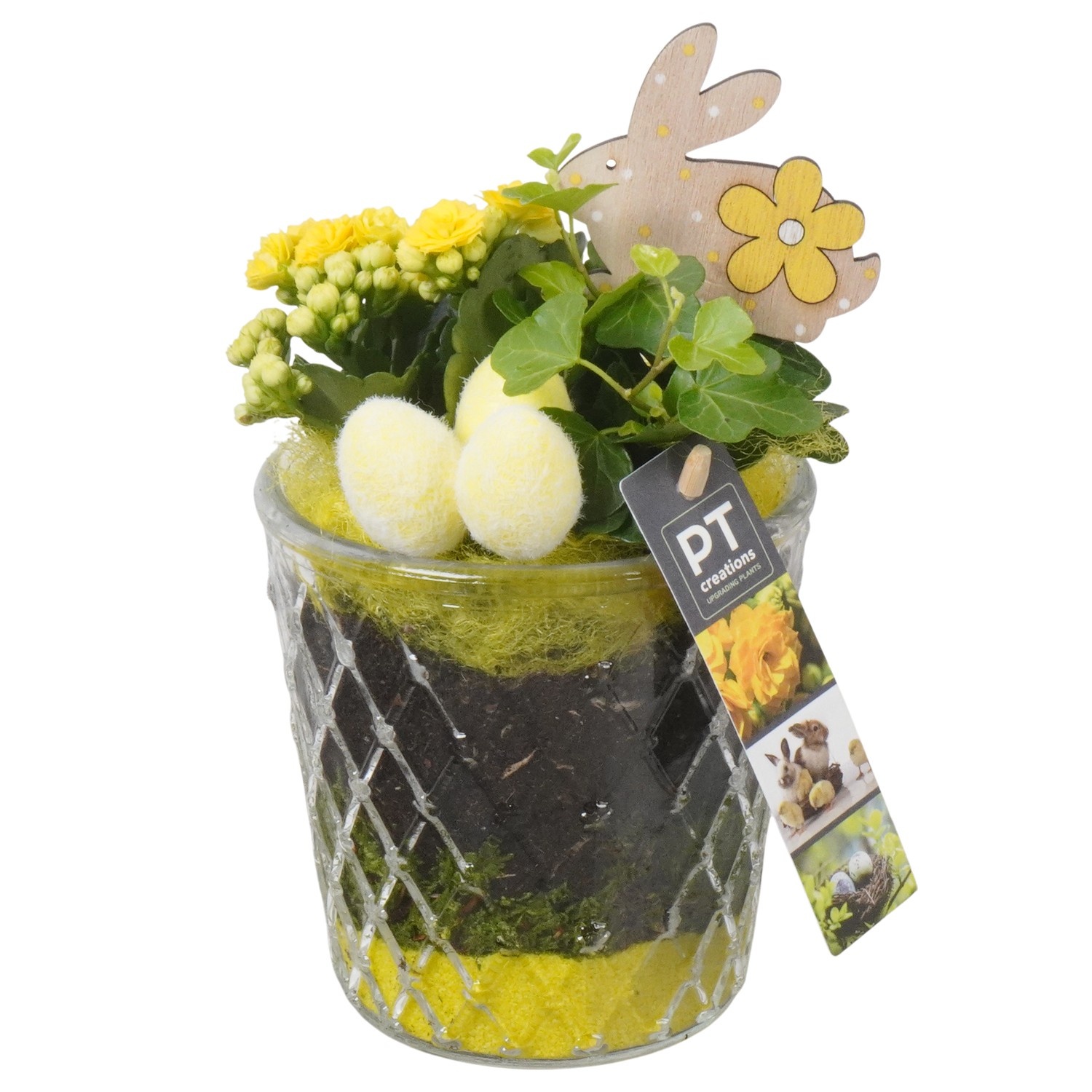 PTPG9386 Arrangement Easter in glas vaas, D 12