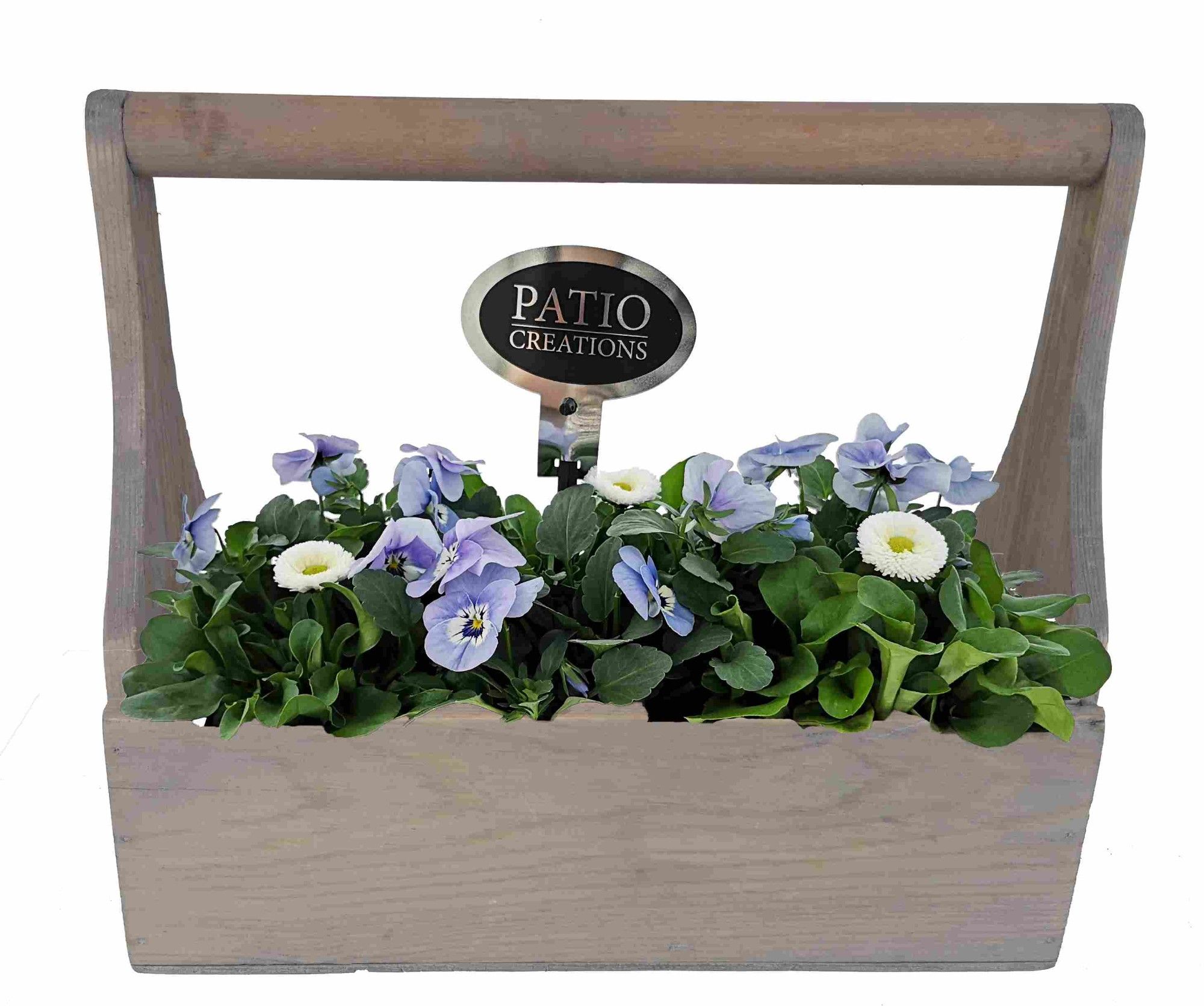 VB294-9003 Viola/Bellis hengselbak FSC hout, D 27