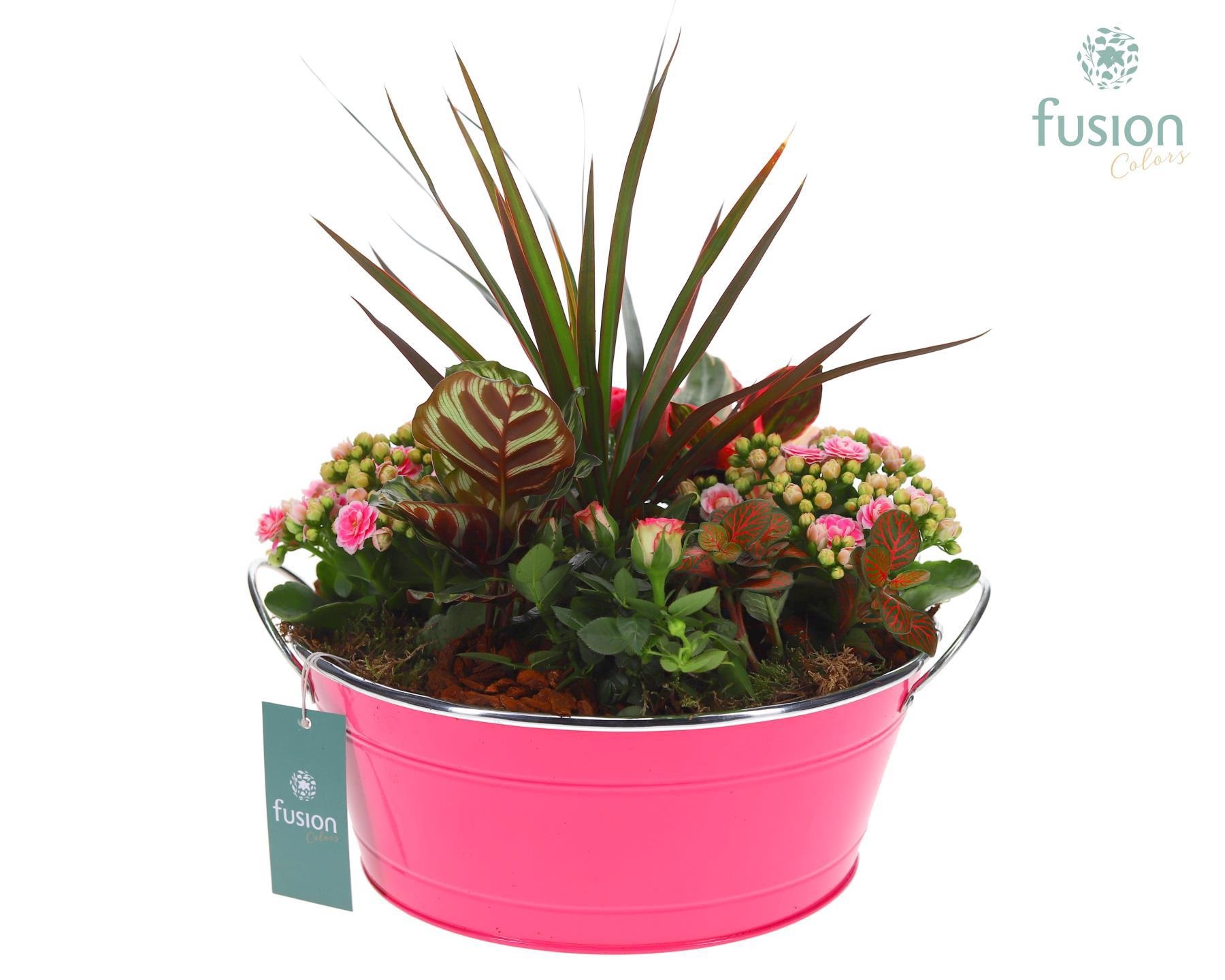 Schaal zink rond groot met Arrangement, D 37