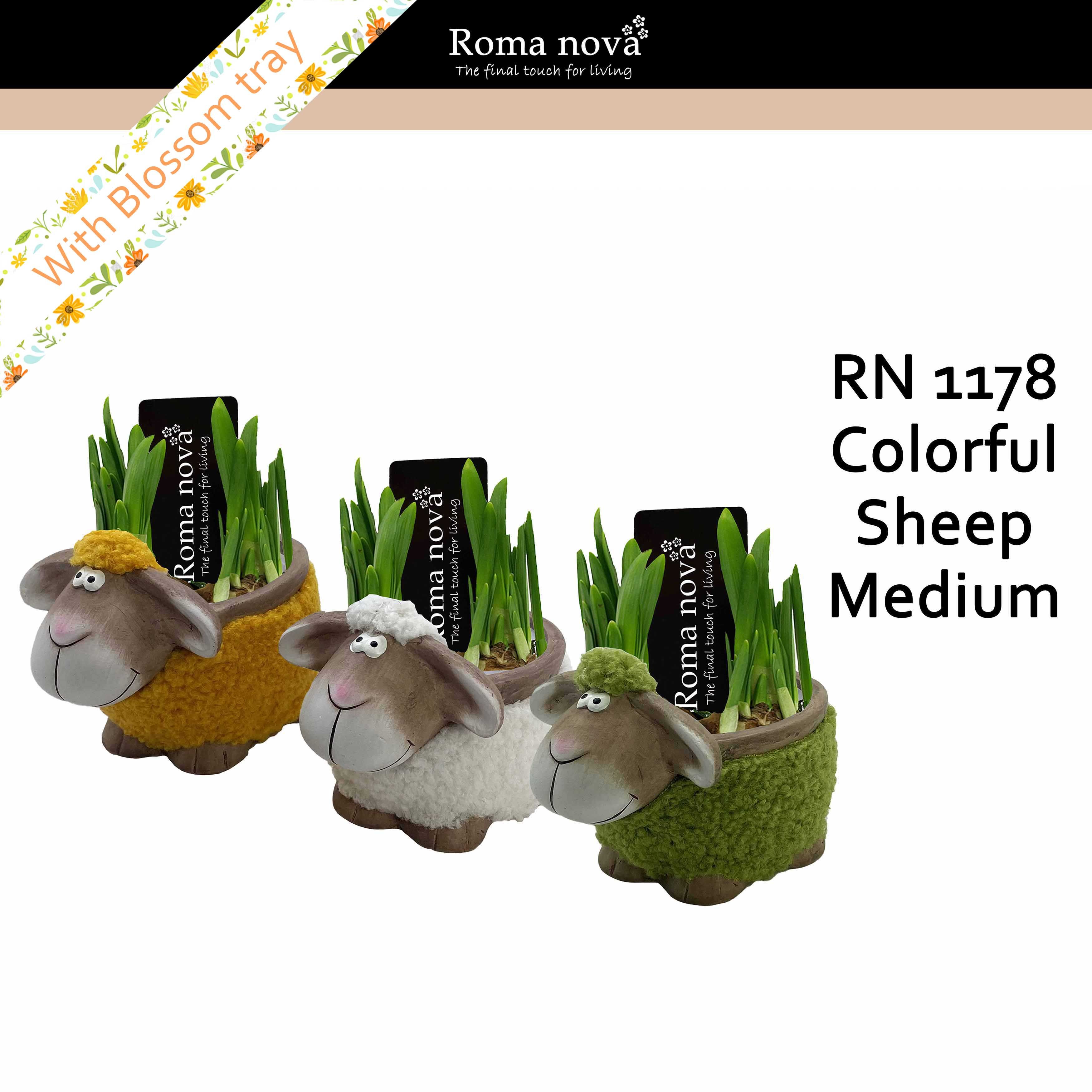 1178 - Colorful Sheep Medium (Tete a Tete), D 16