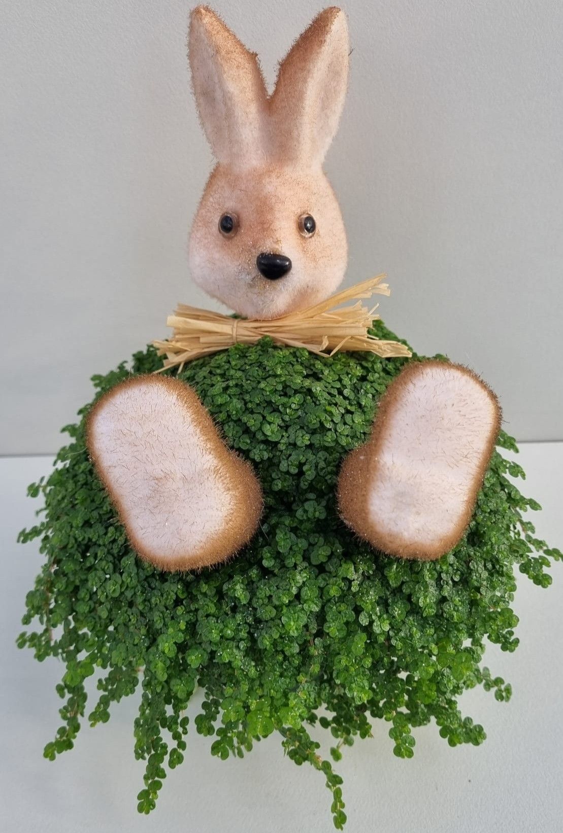 P80 Haas strik bruin, D 13