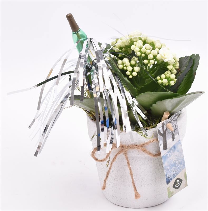 Cement pot wit met touw, D 10