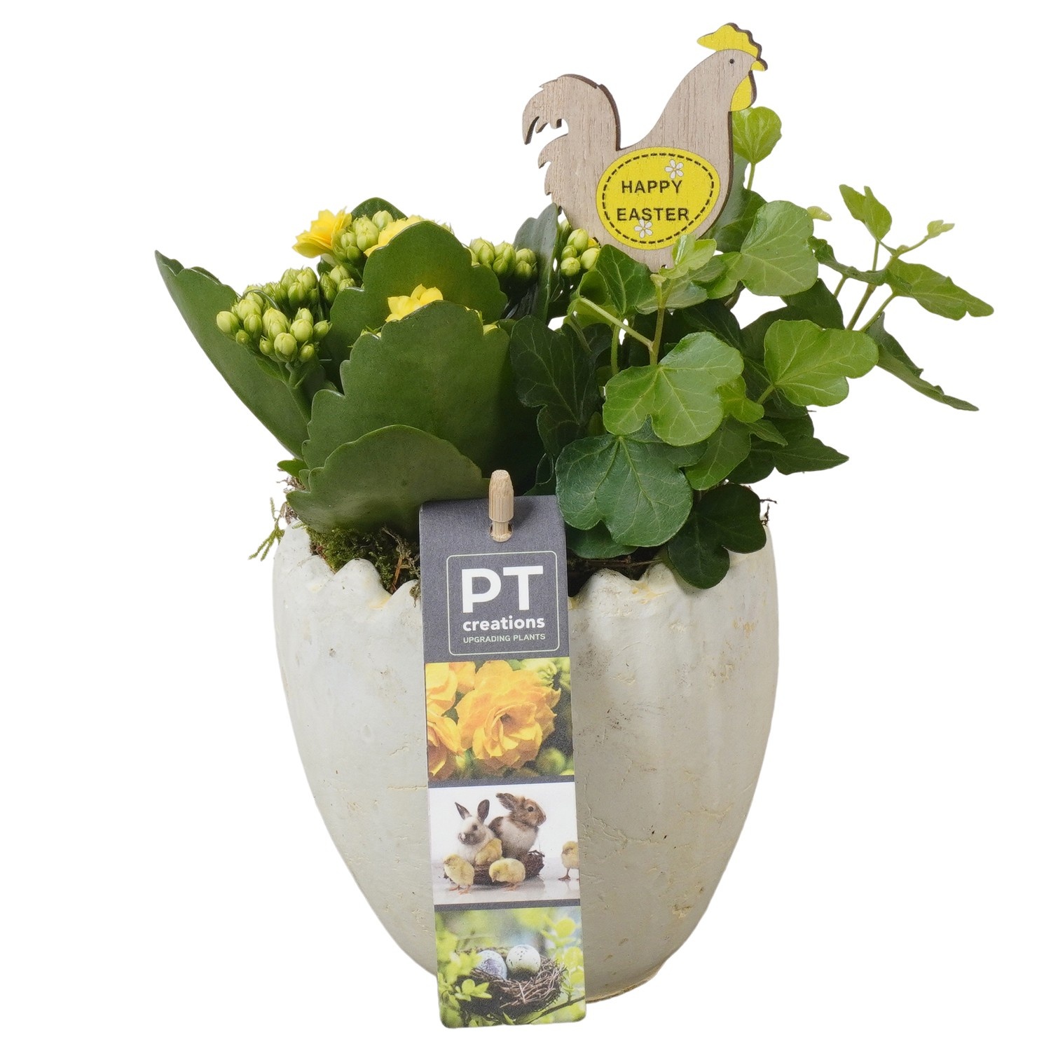 PTPB6596 Arrangement Easter in terracotta ei, D 11