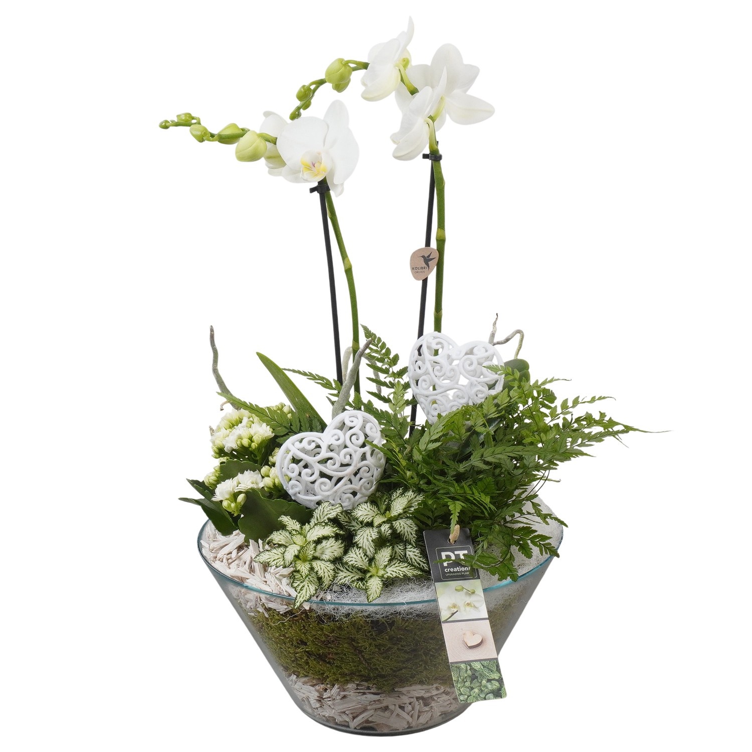 PTVMG4952 Arrangement Valentines-Mothersday in glas schaal, D 26