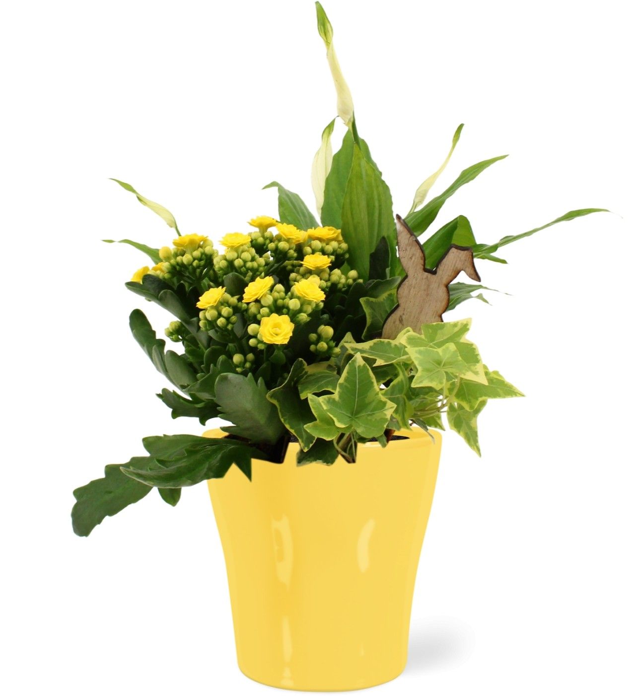 Paas Arrangement keramiek bombe kalanchoe Sphat., D 12