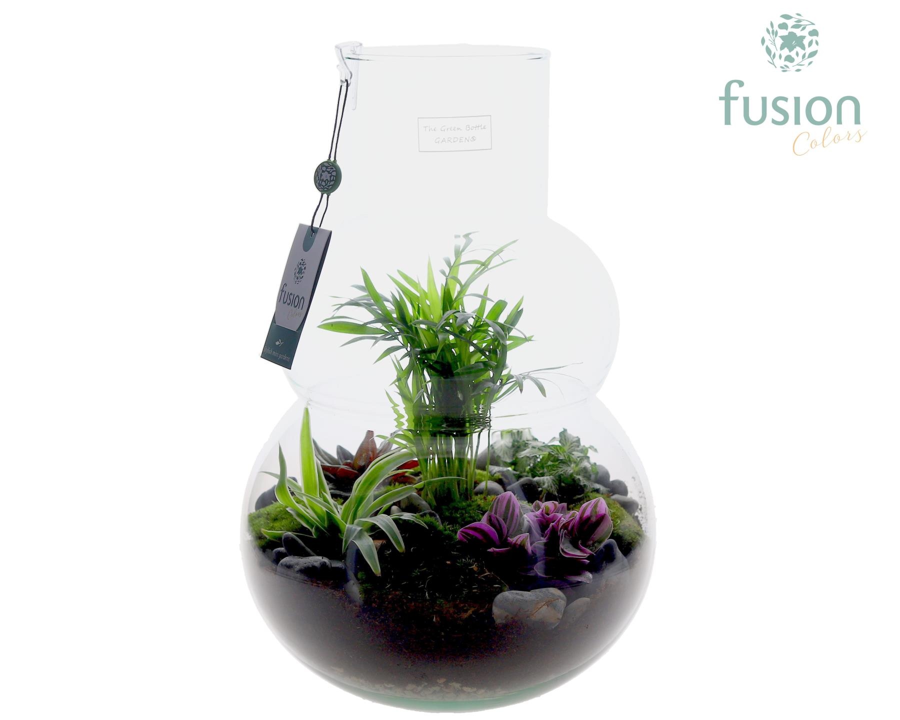 Green Bottle Olaf Large met arrangement, D 26