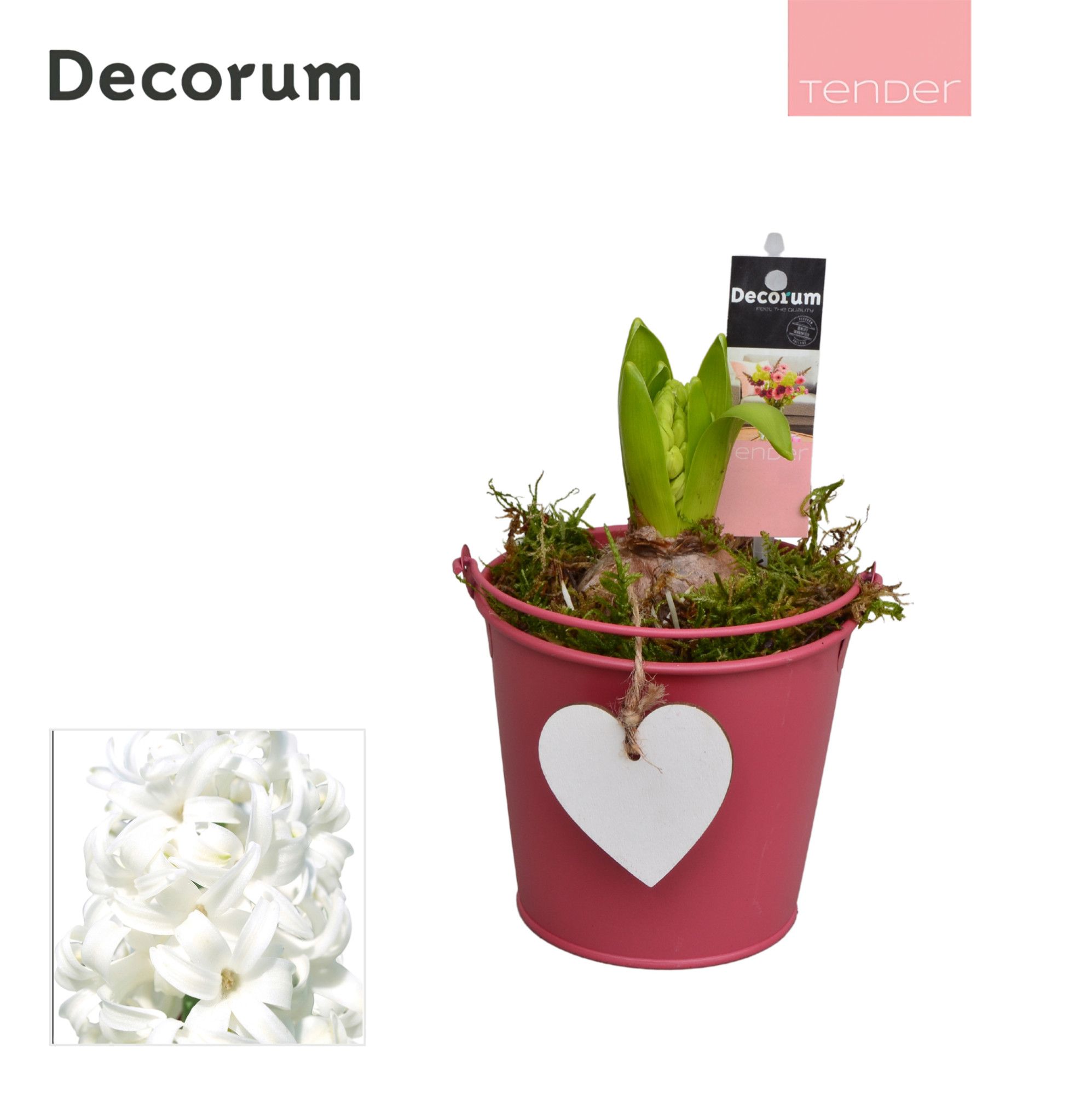 Hyacint Lovely Bucket HL10564WP [TENDER], D 10