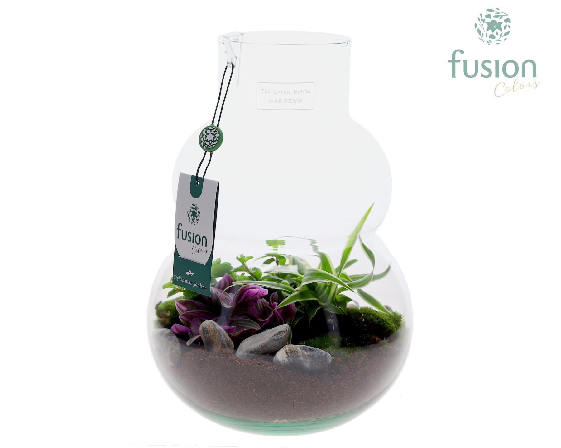 Green Bottle Olaf Medium met arrangement, D 21