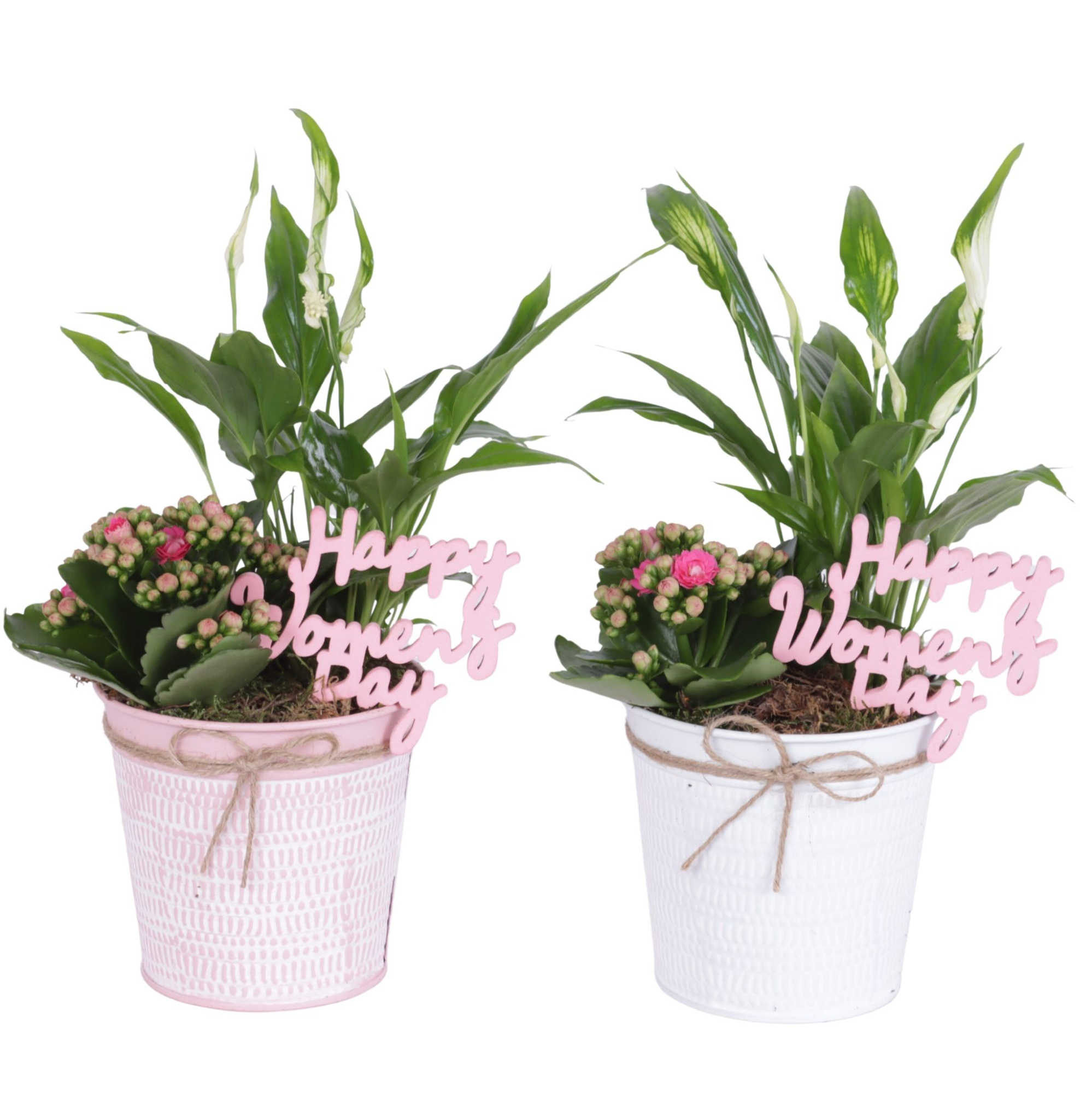 Womens Day Arr. Indoor Zinc Pot Round Pink/White Ø12cm 2PP, D 12