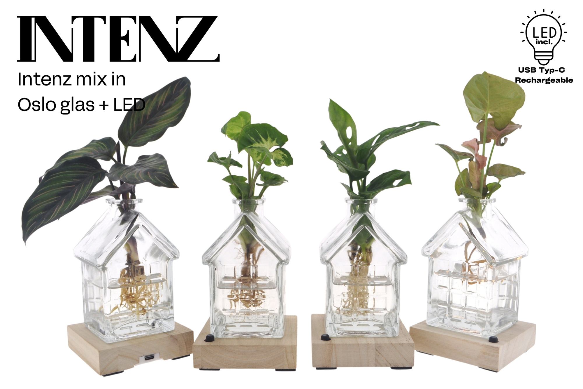 Mix in Oslo glas (Home) + LED - levertijd: 24 uur, D 7