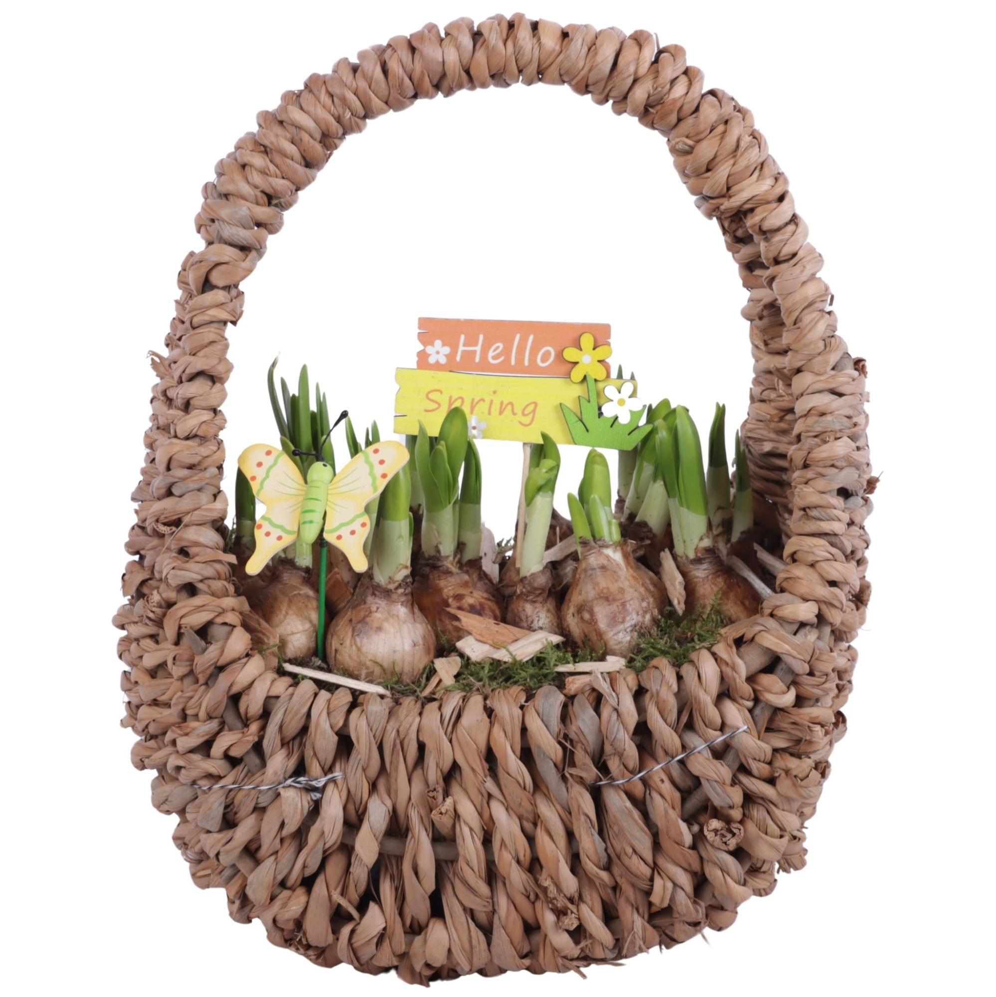 Bulbs Arr. Narcis Egg Shaped Handle Basket Ø27cm, D 23