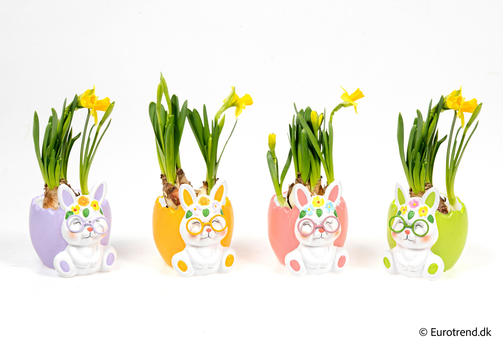 Narcissus in Easter ceramic 2026, D 6