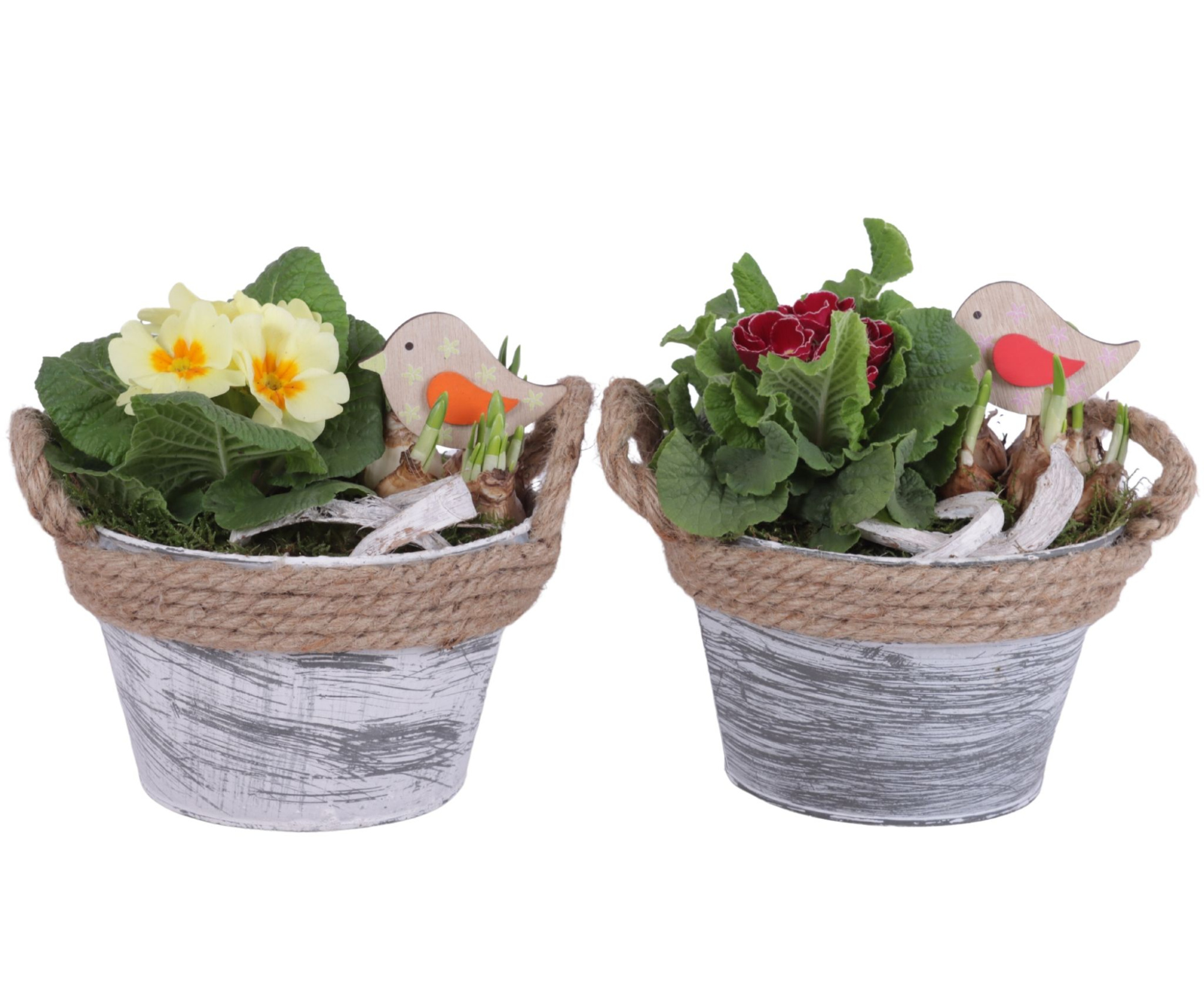 Early Spring Arr. Outdoor Zinc Pot Round Rope Ø17cm 2PP, D 17