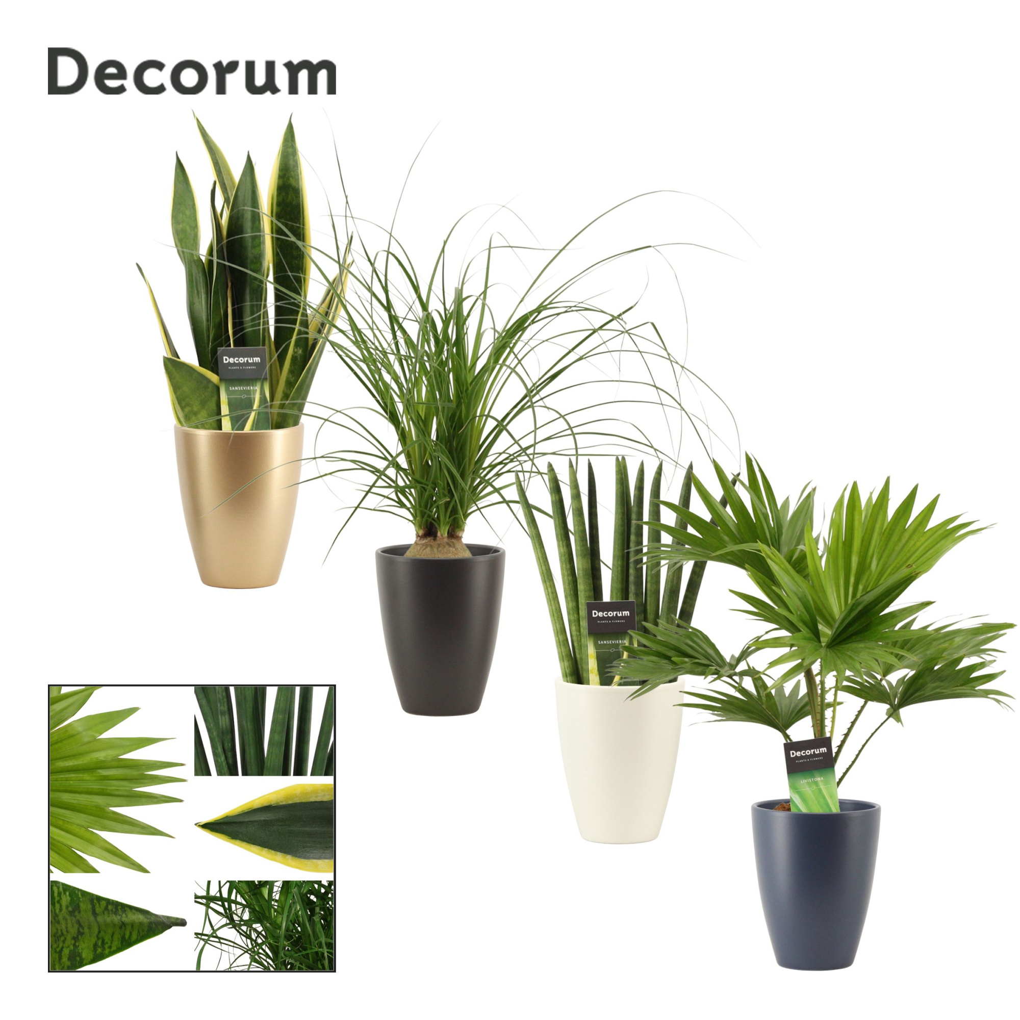 Groenmix 12 cm in Carly (Neo Architect-collection), D 12