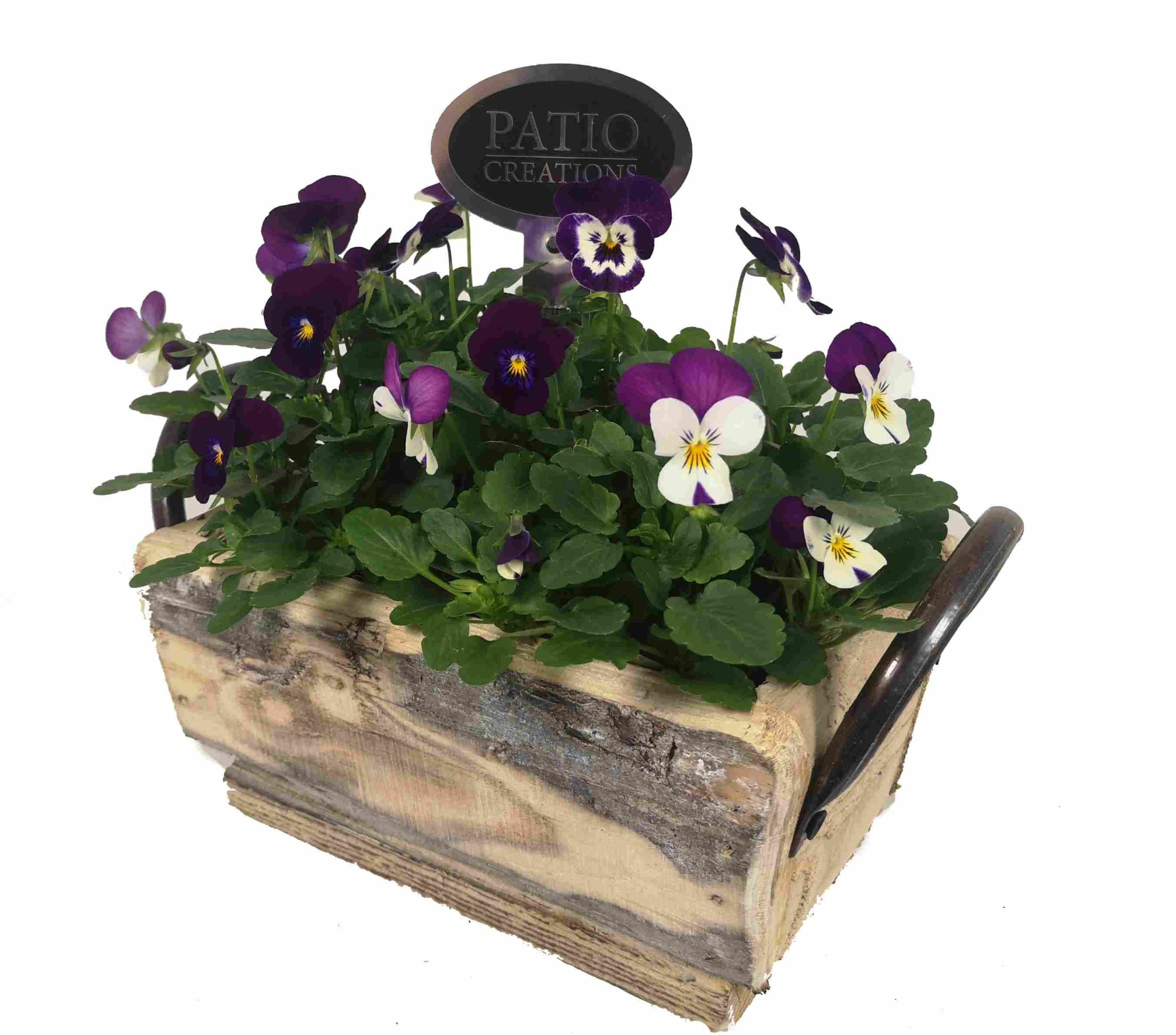 V673-9001 Viola dennenhout metaal oren S, D 22