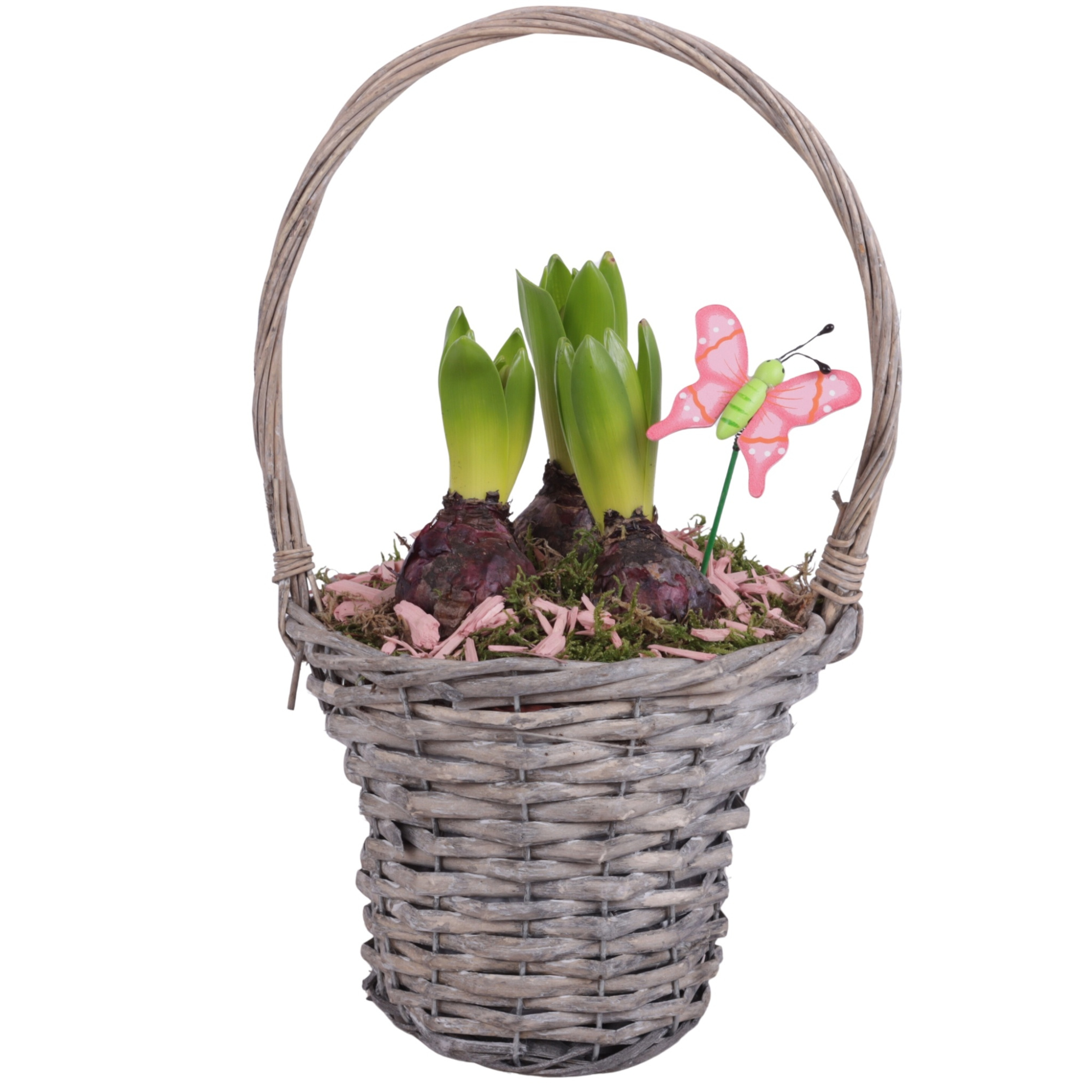 Bulbs Arr. Hyacint Willow Handle Basket Grey Ø18cm 3PP, D 18