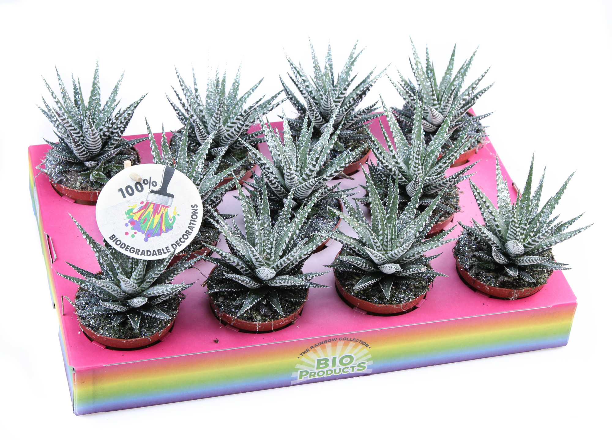 Big band + bioglitter, D 8,5