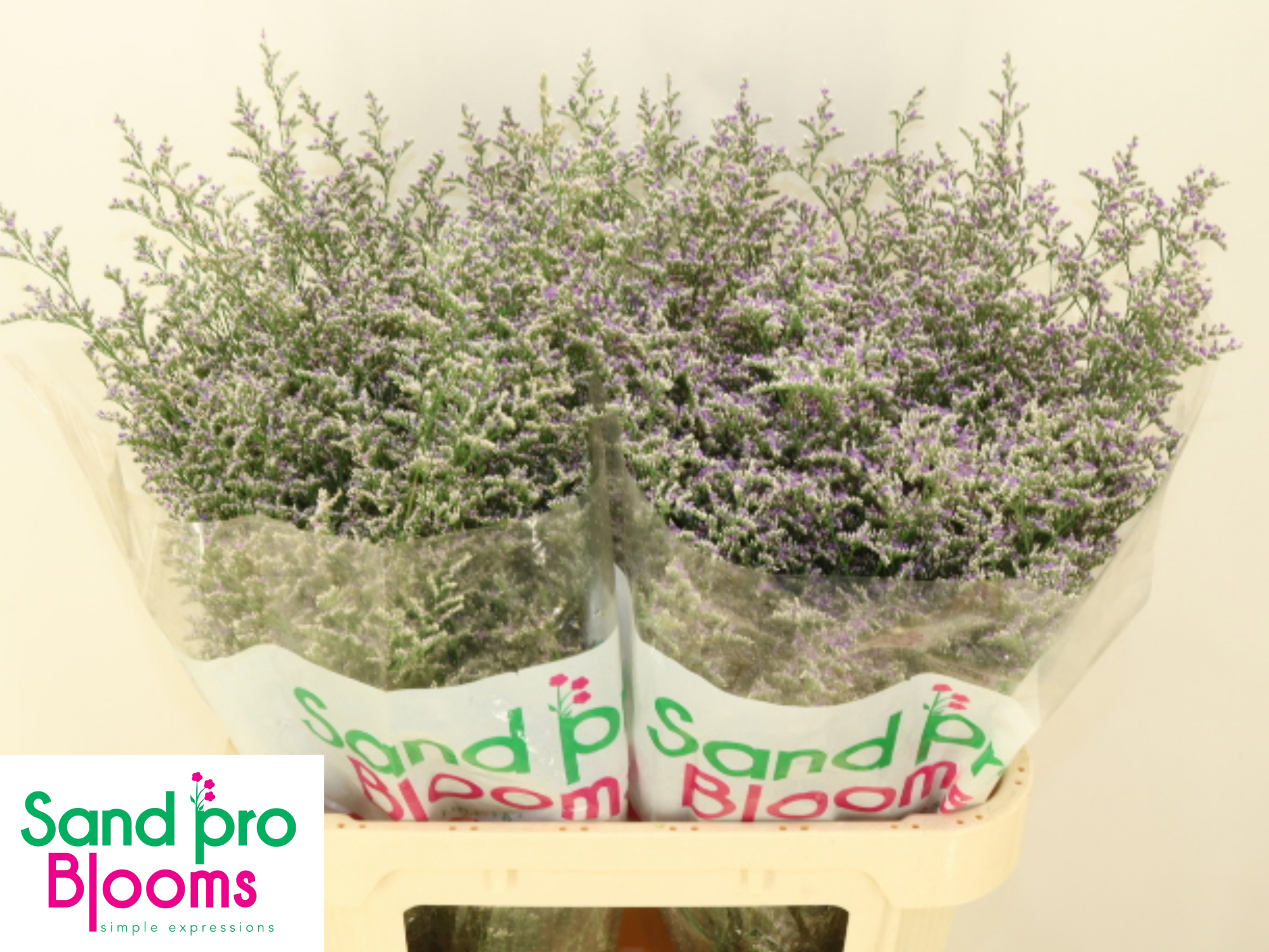 Лимониум Мисти Блю 80, шт.