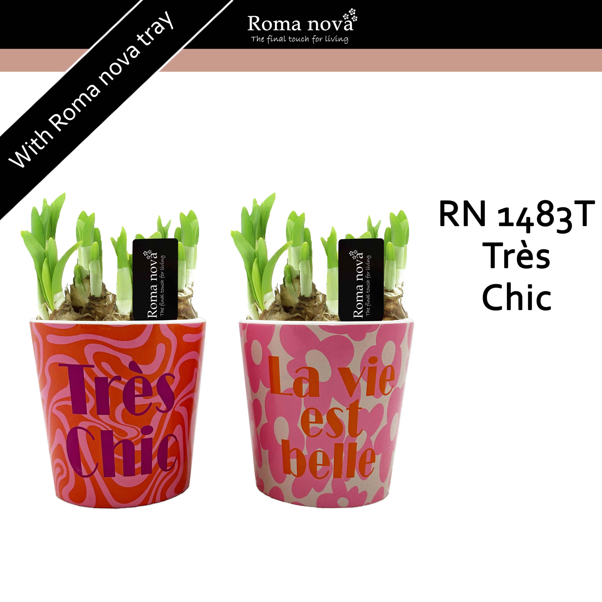 1483T - Très Chic (Tete a Tete), D 12