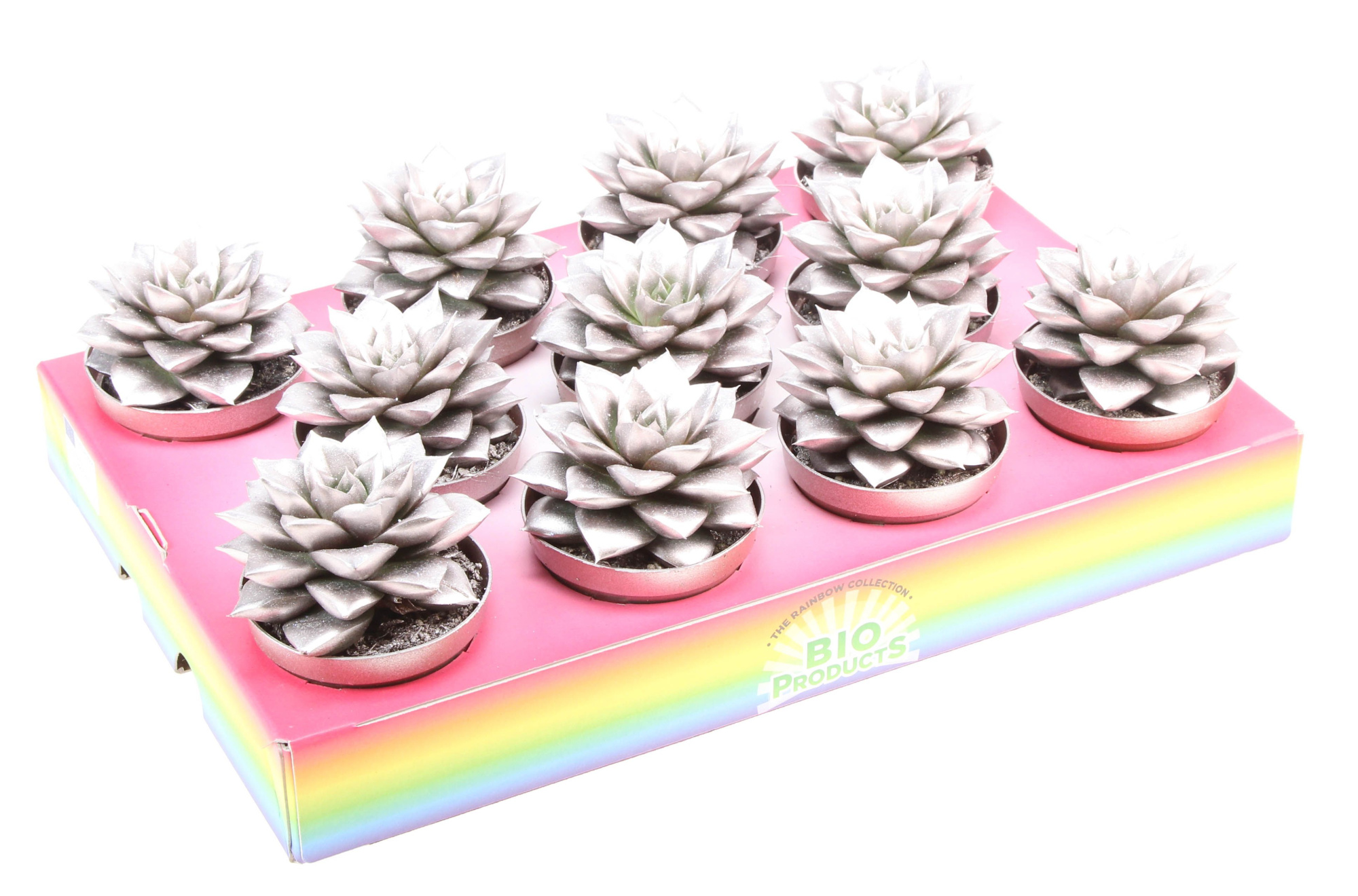 Bio purper champagne glitter, D 8,5