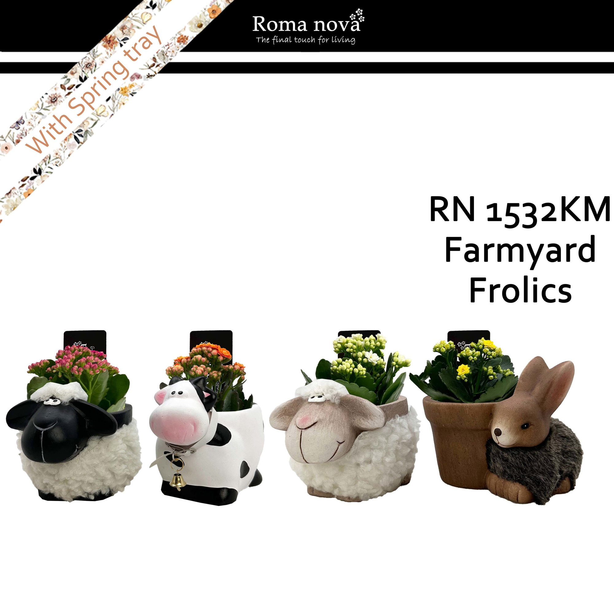 1532KM - Farmyard Frolics (Kalanchoe mix), D 16